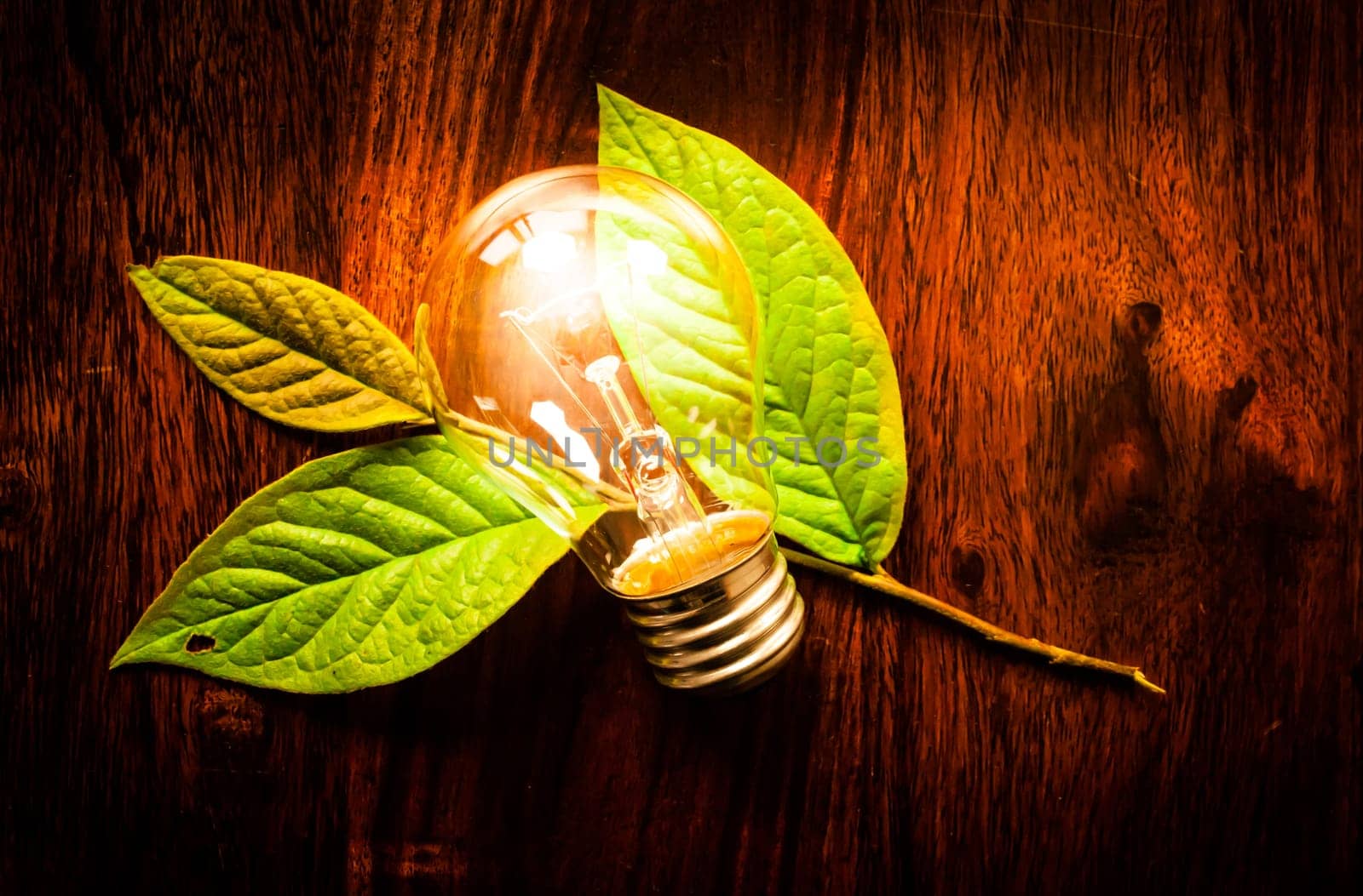 Bright light bulb on green leafs at a wooden table