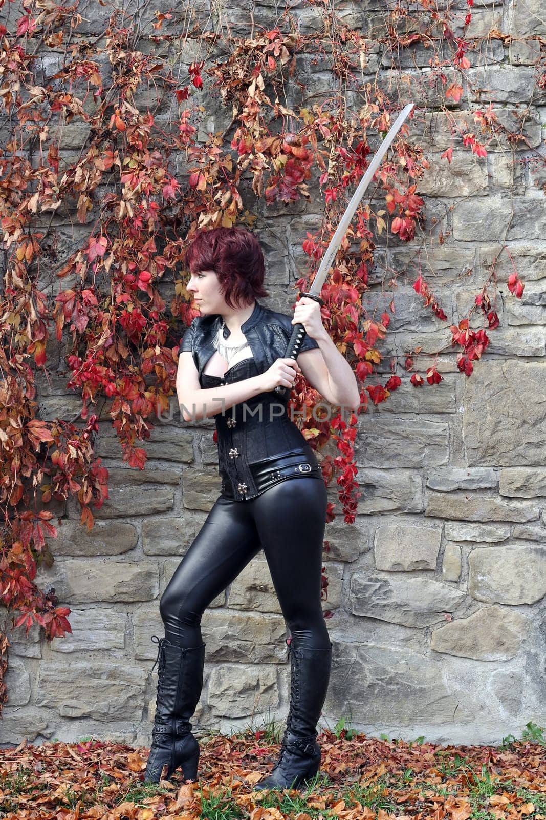 The Woman and the Sword