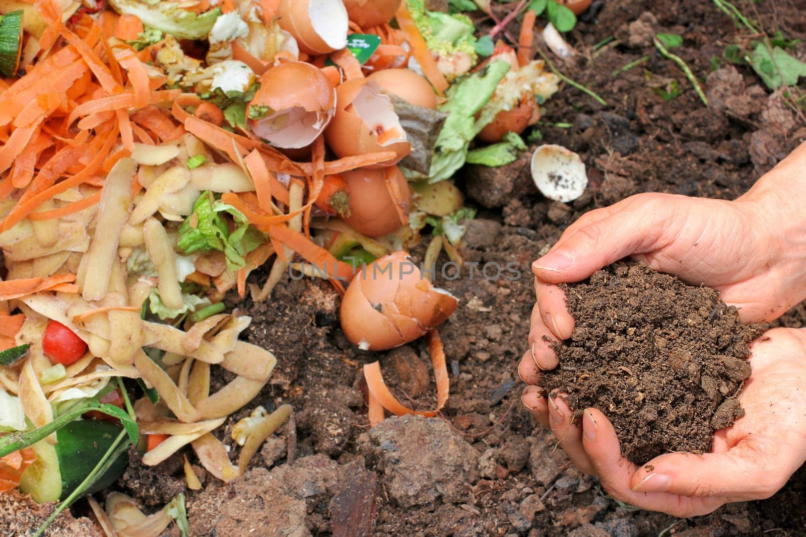 Composted soil,compost