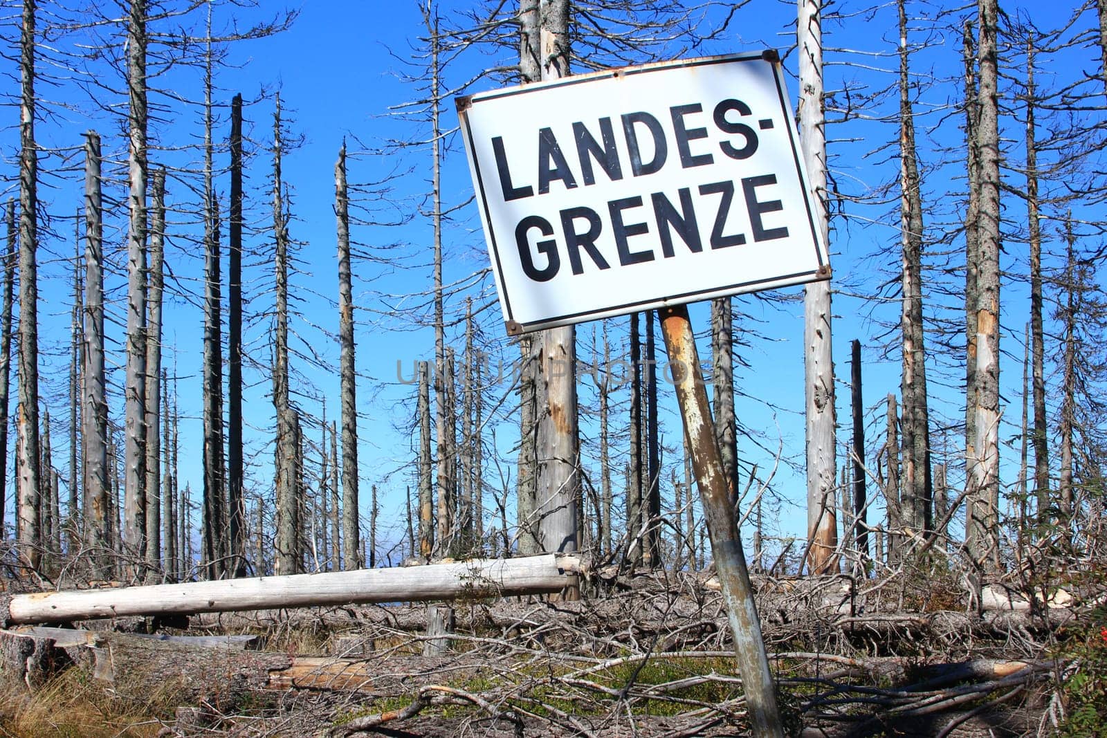 Sign "Landesgrenze"" in the Bavarian Forest on the border with the Czech Republic"