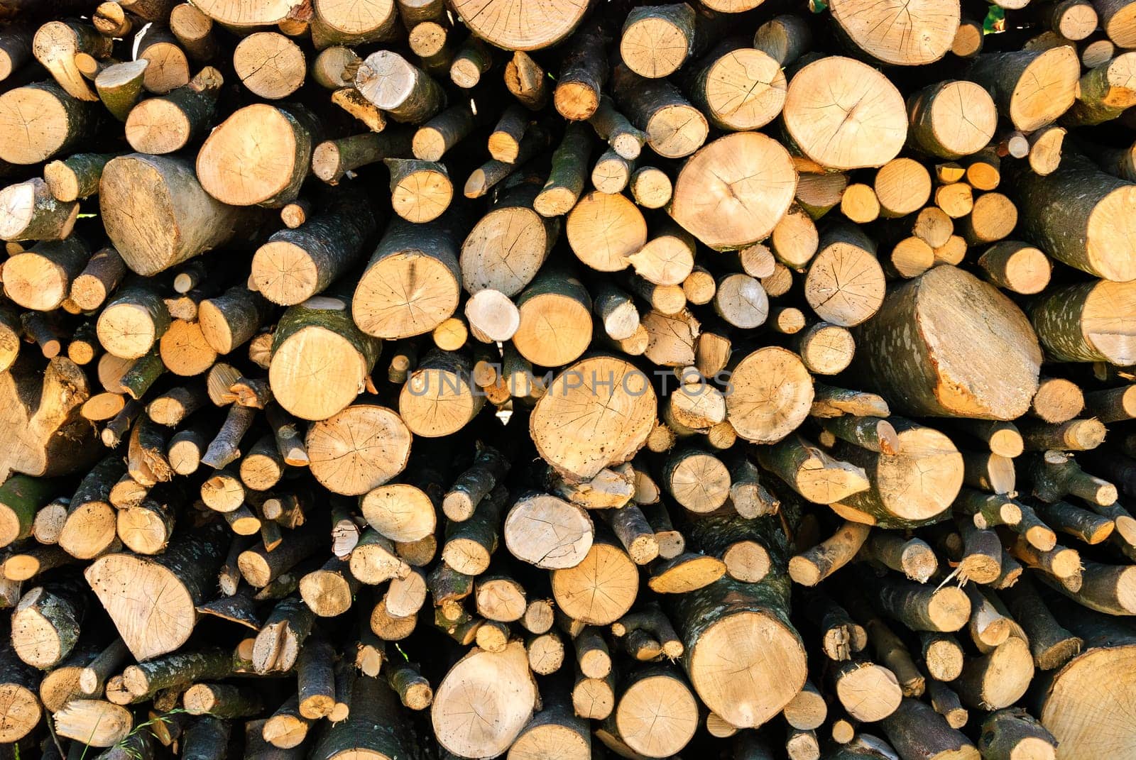 pile of wood to burn in the fireplace