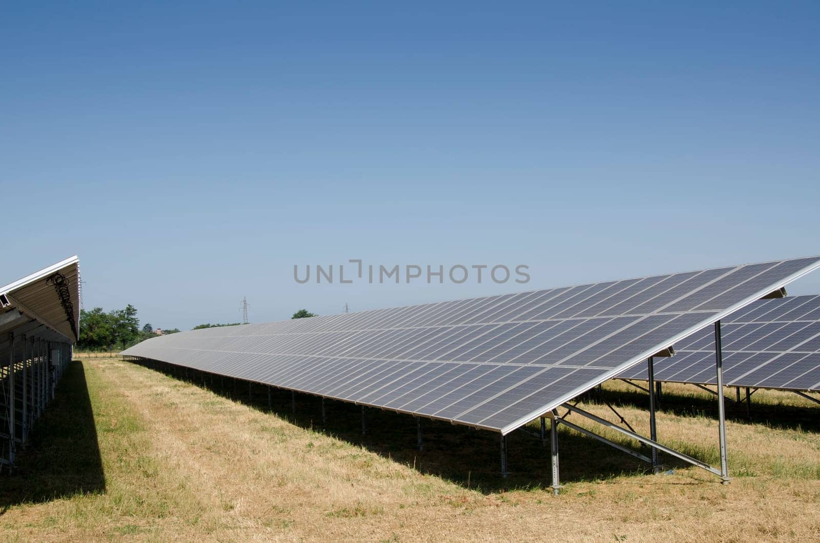 solar panels in a solar field in Italy