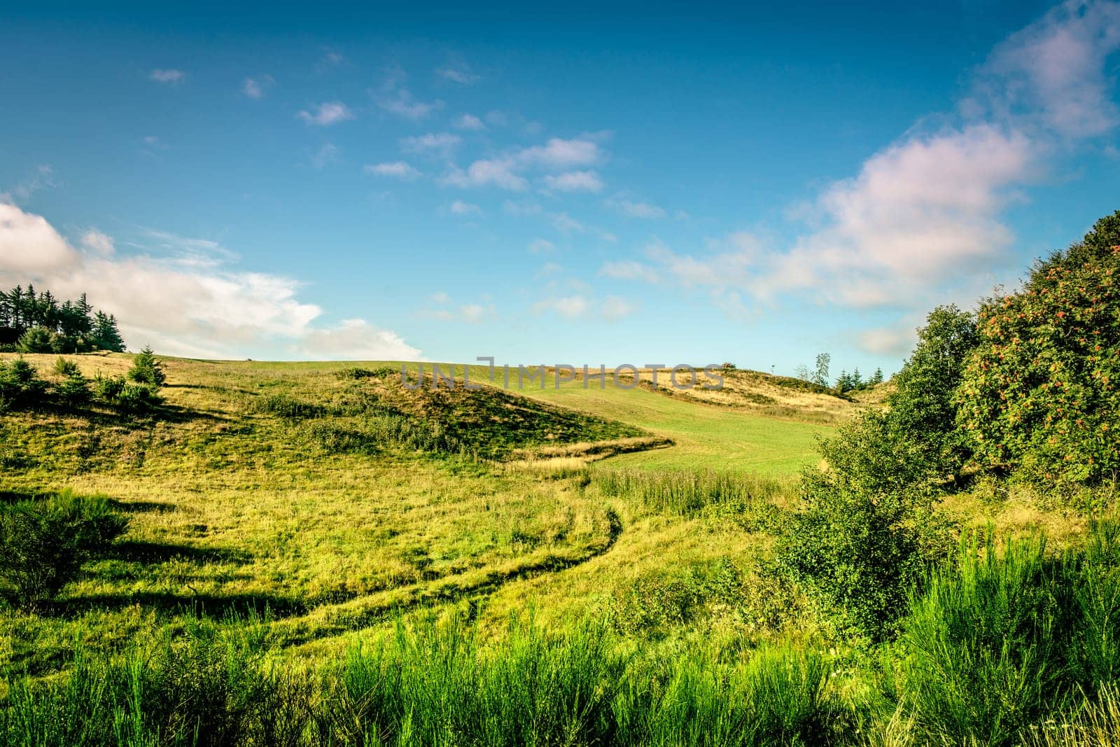 Green fields with sunshine and blue sky