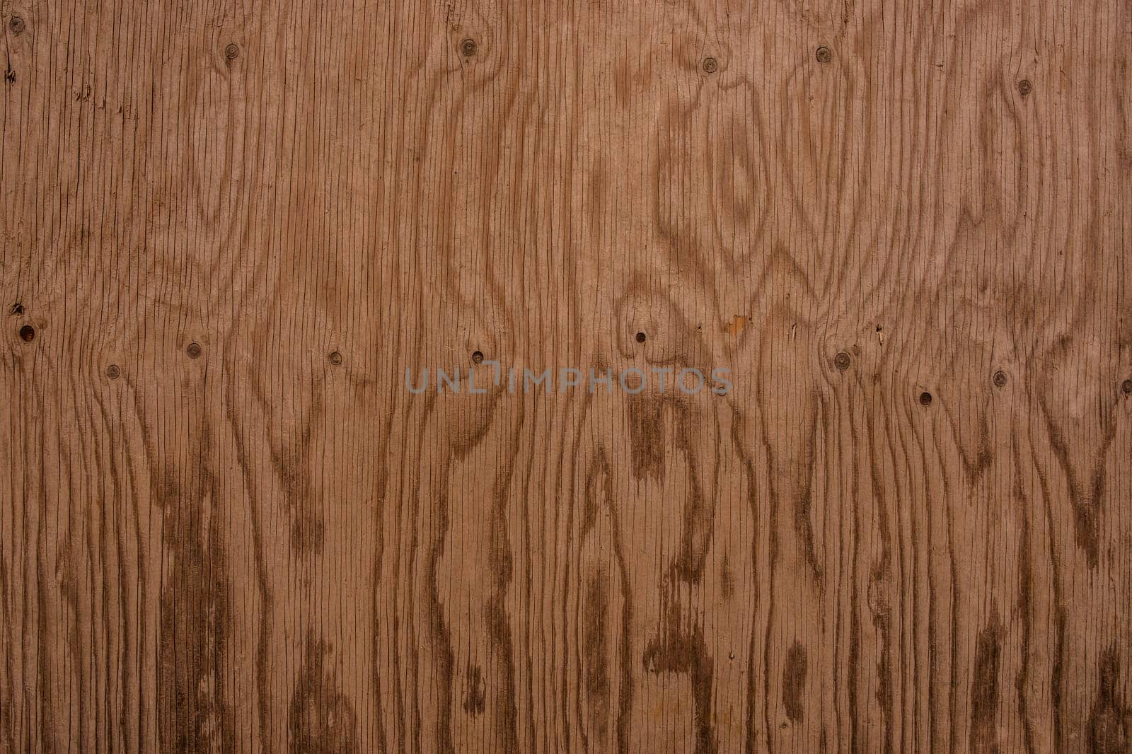Grunge wooden wall in strong color
