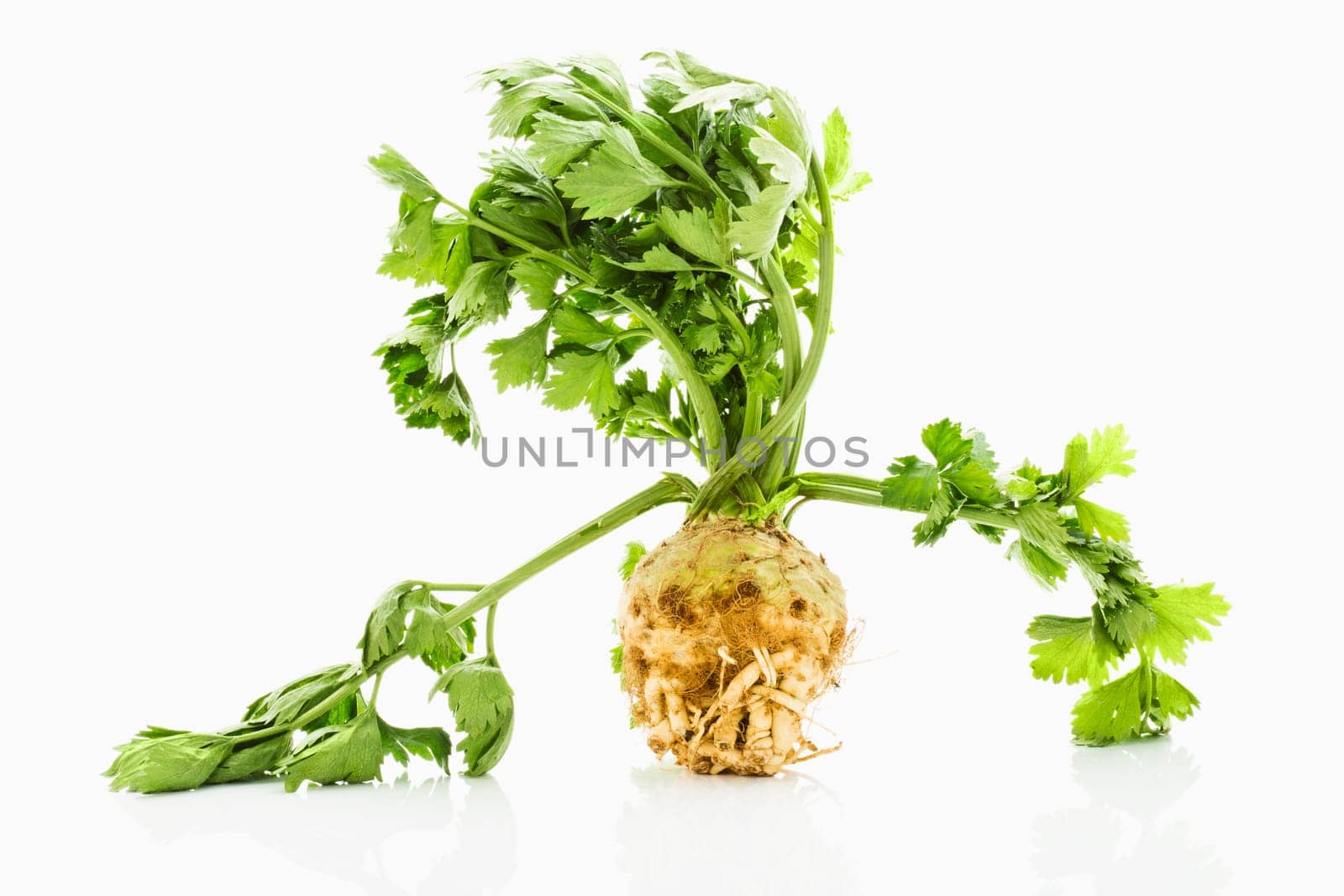 Celery