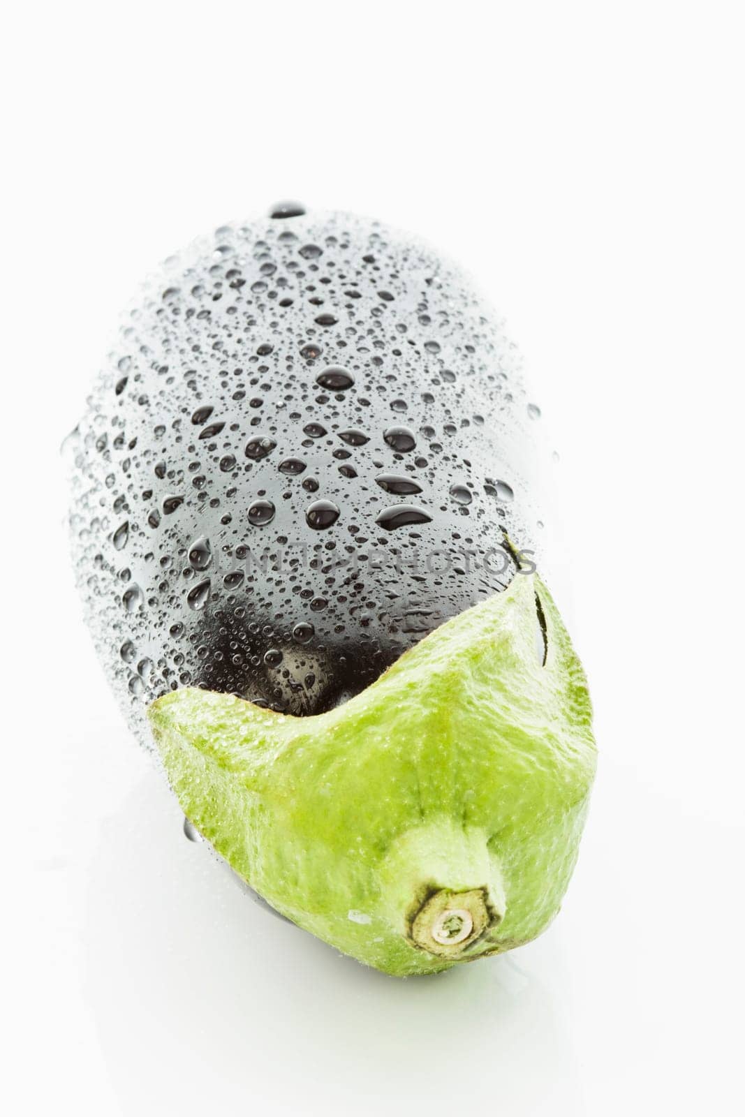 Eggplant