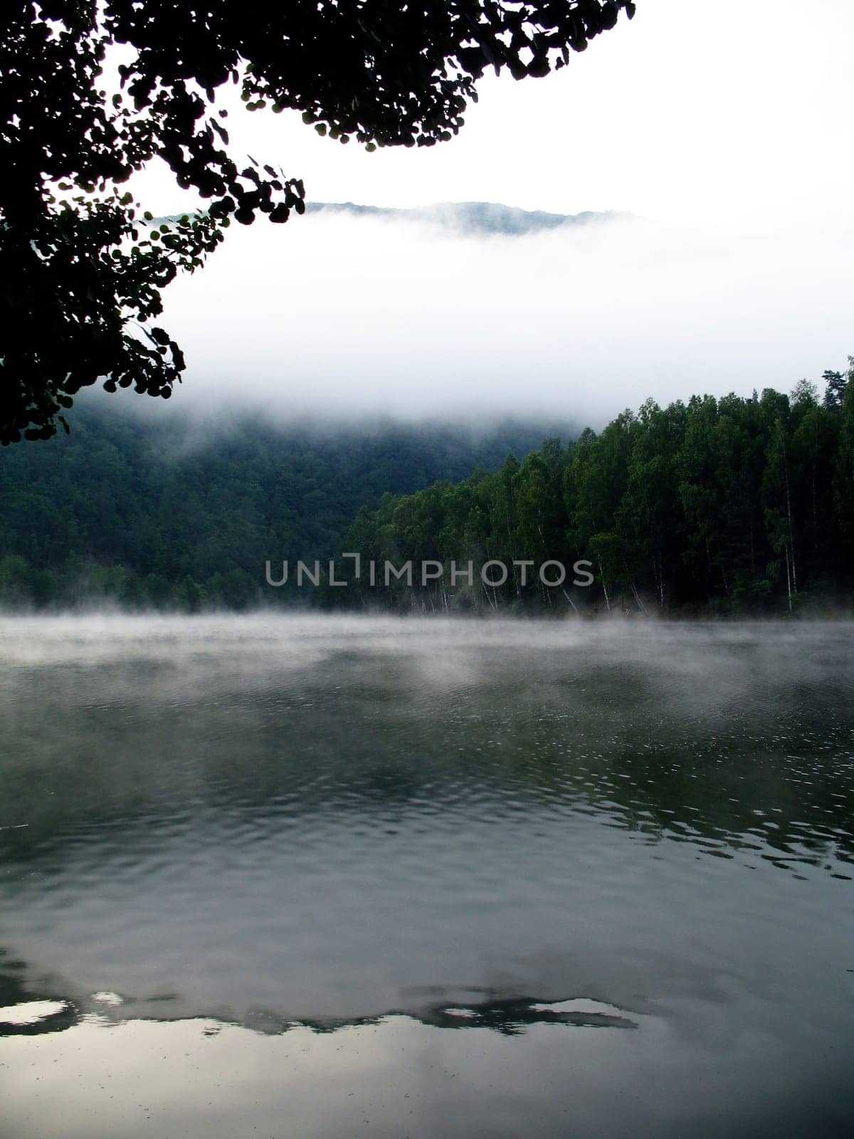 Lake with early morning fog