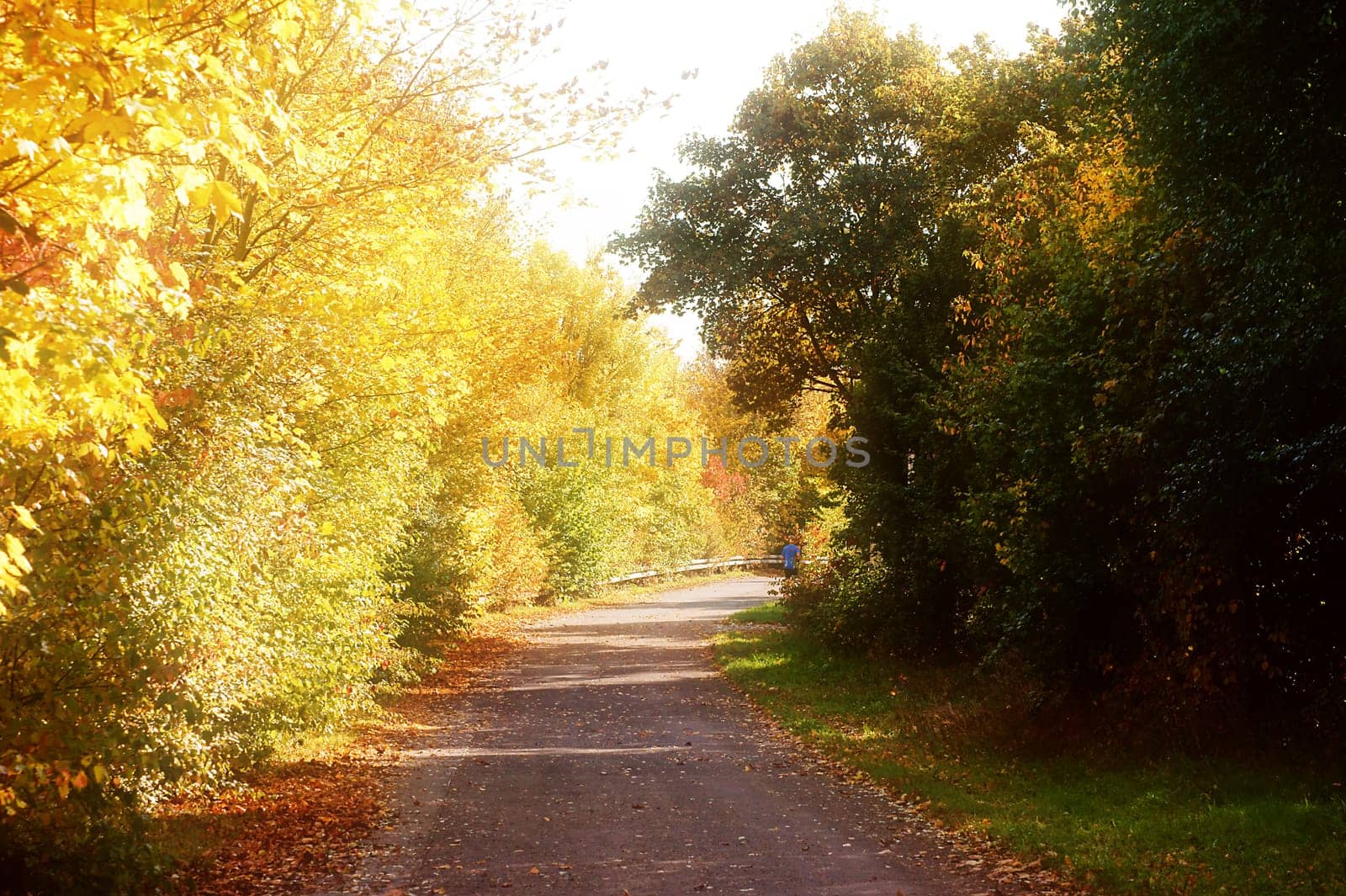 The photograph of a path in autumn on which a person jogs.