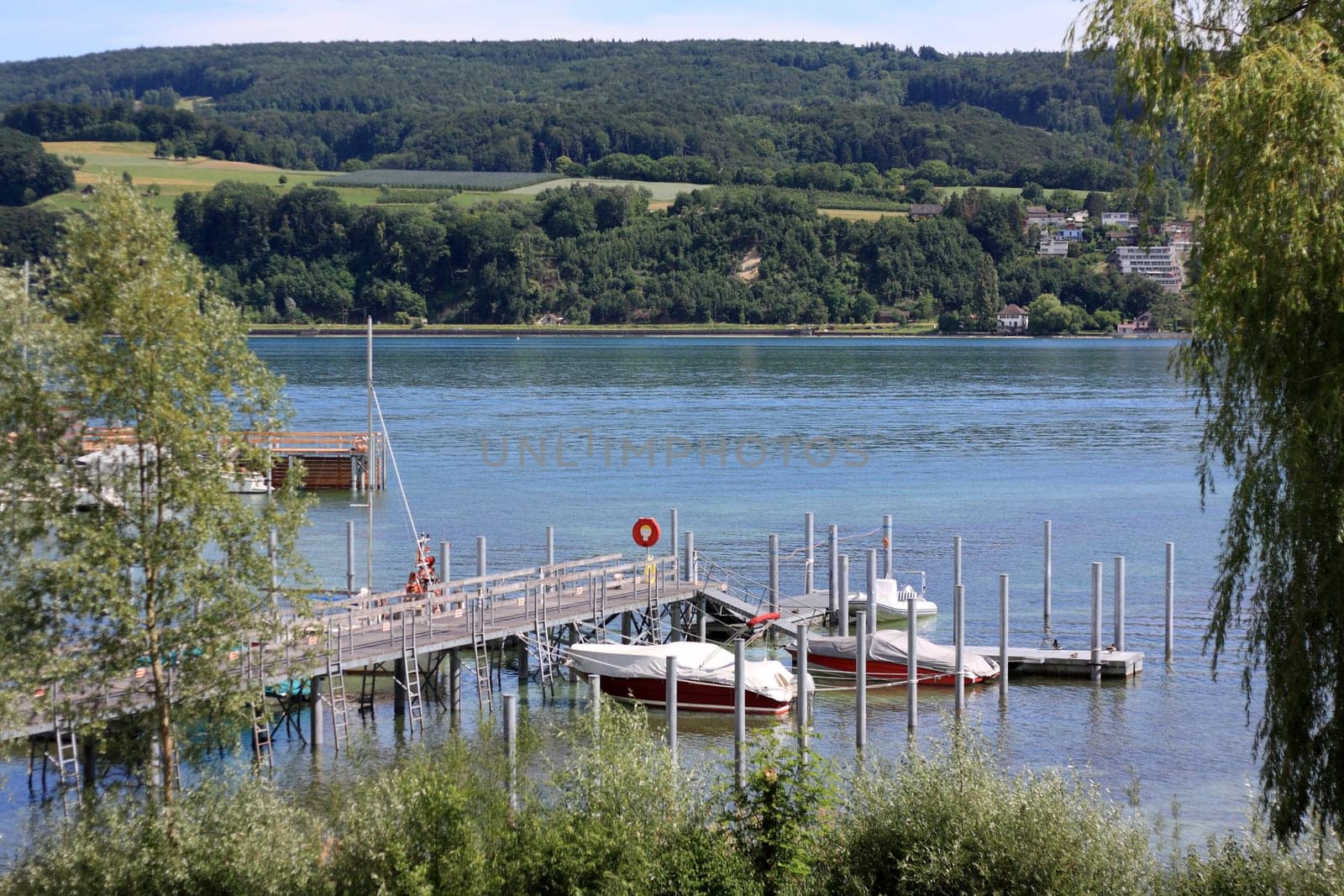 Landscape with fields and trees and views of Lake Constance