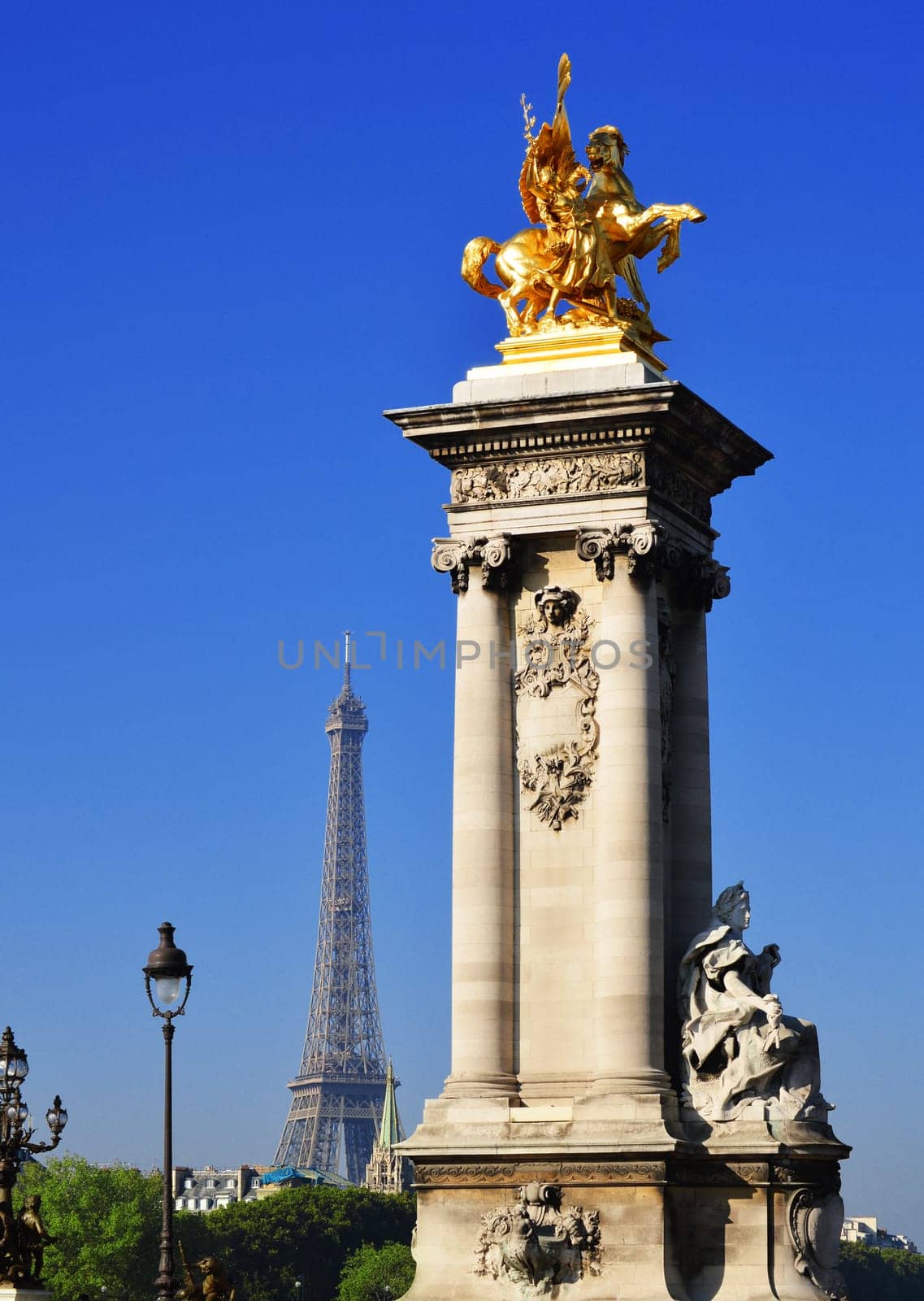 View on the Eiffel Tower from Bridge of Alexandre III, over Seine River in Paris, France