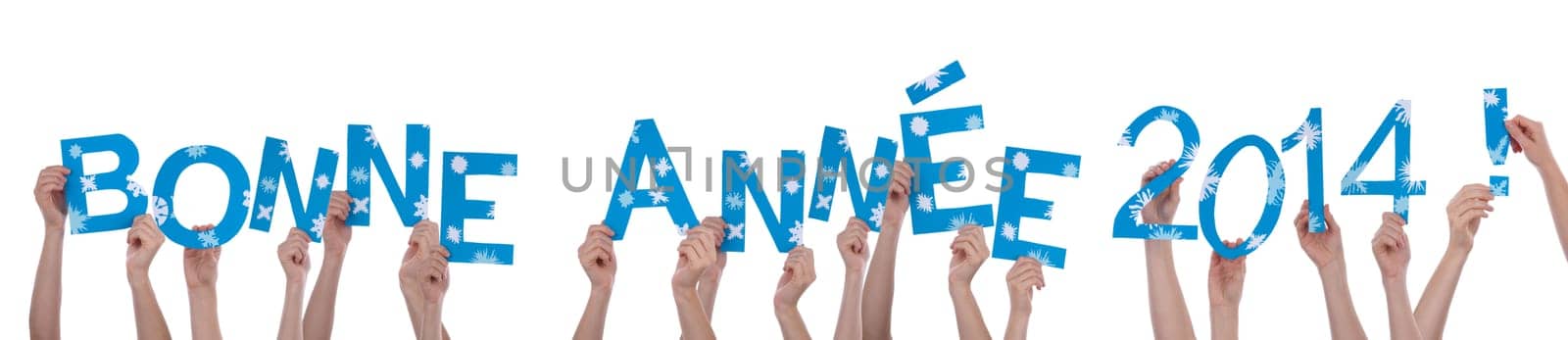 Many Hands Holding the French Words Bonne Annee 2014 Which Means Happy New Year 2014, Isolated