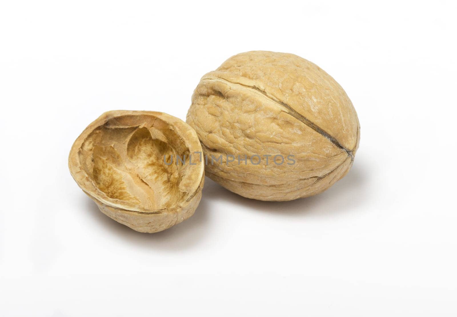 Details of empty walnut shell and walnut