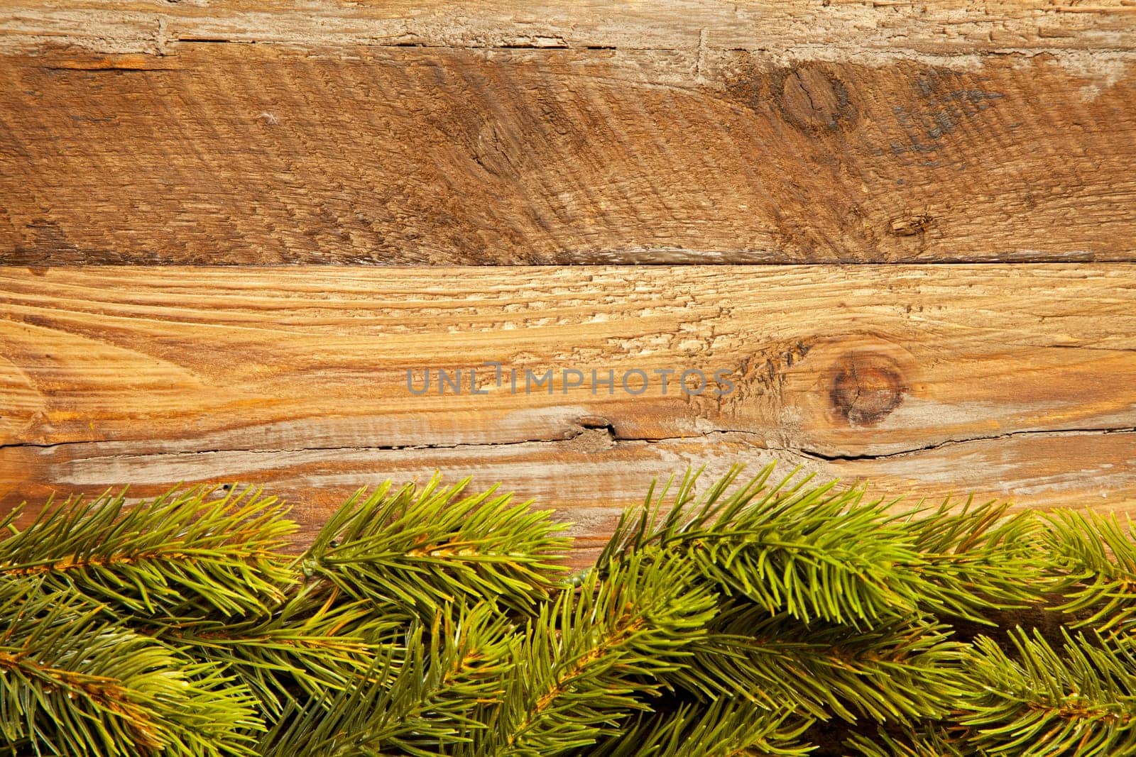 Christmas background with fir branches