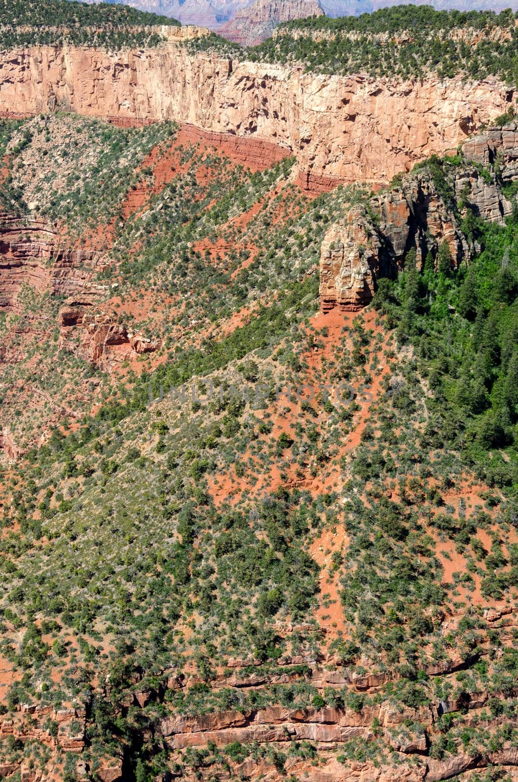 helicopter over the Grand Canyon