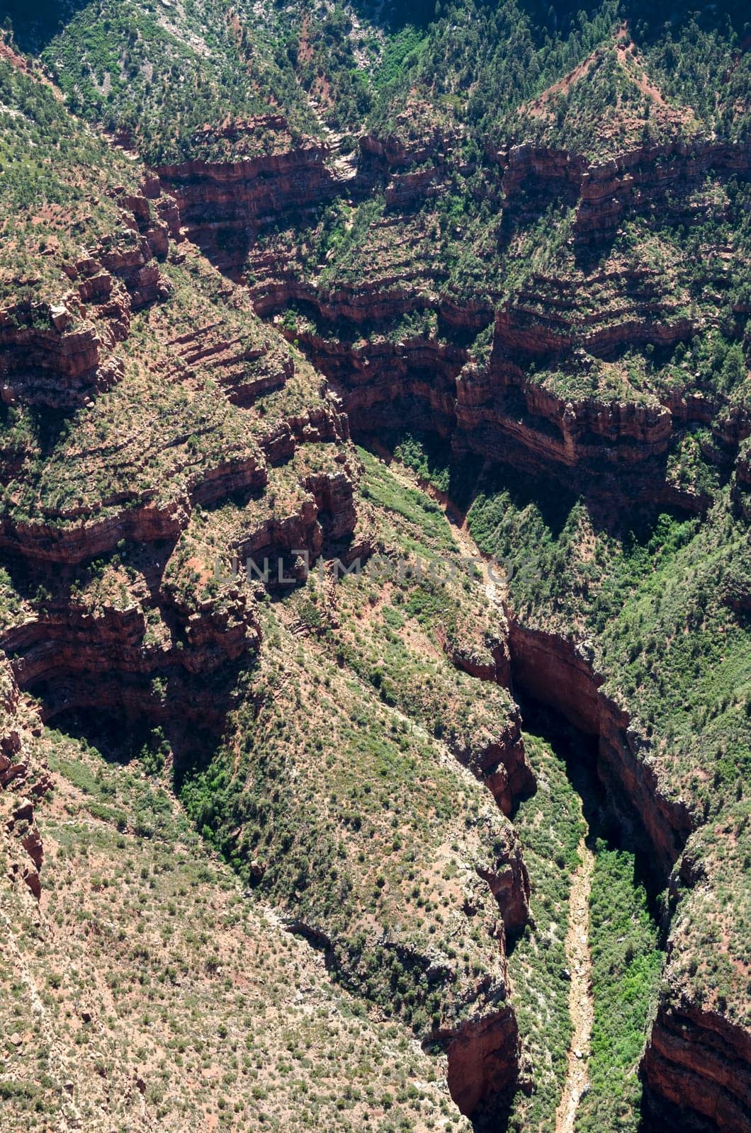 helicopter over the Grand Canyon