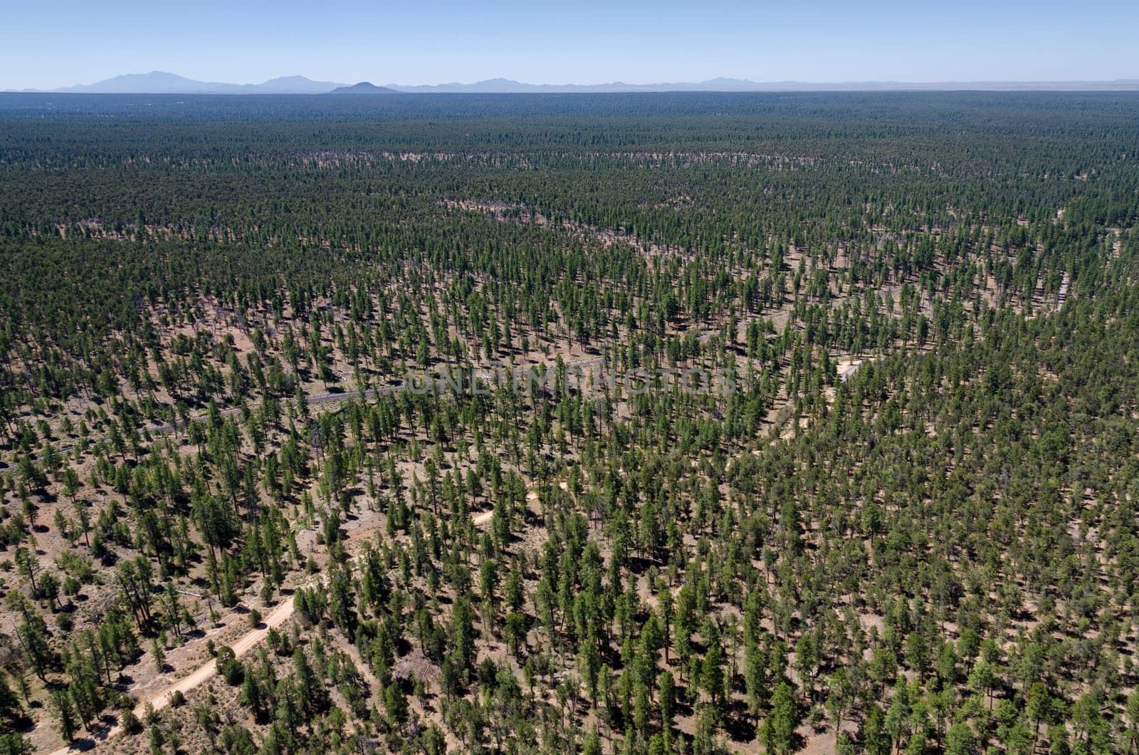 helicopter over the Grand Canyon
