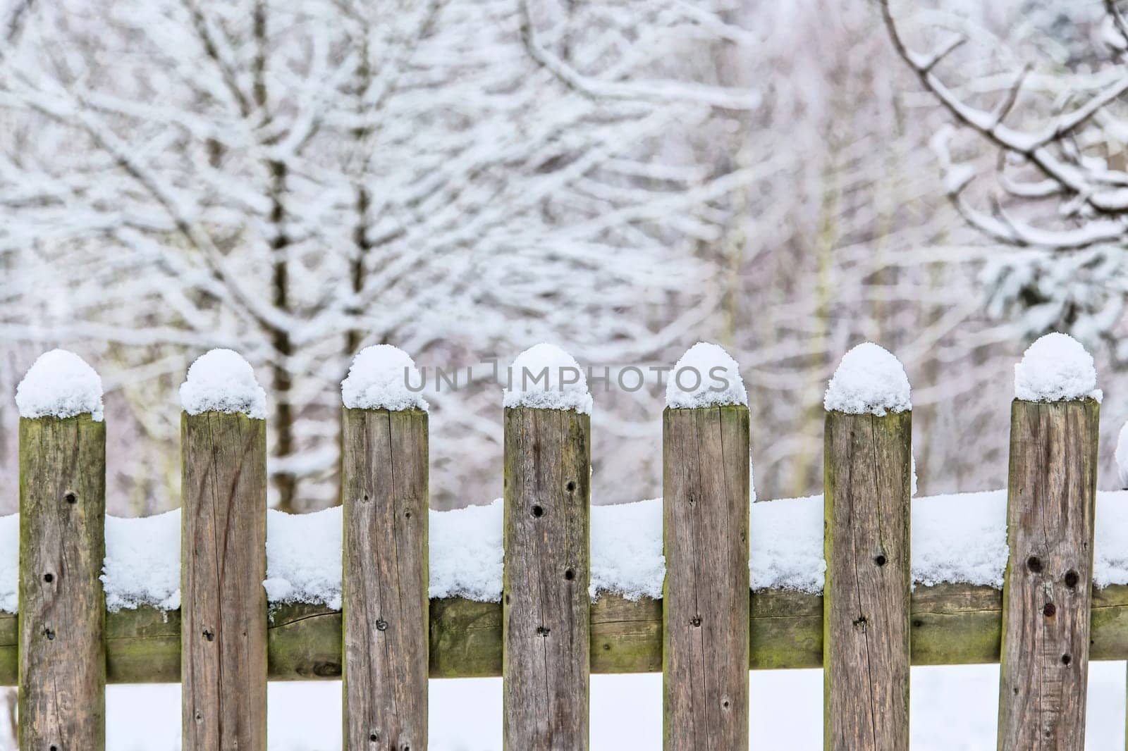 Winter fence bokeh