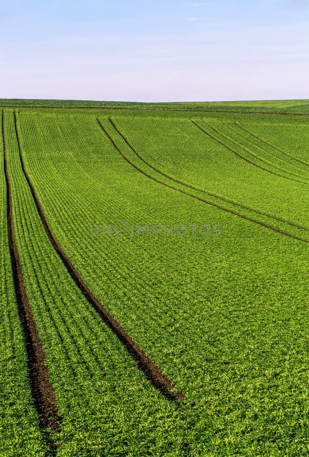 Green fields to horizon 2
