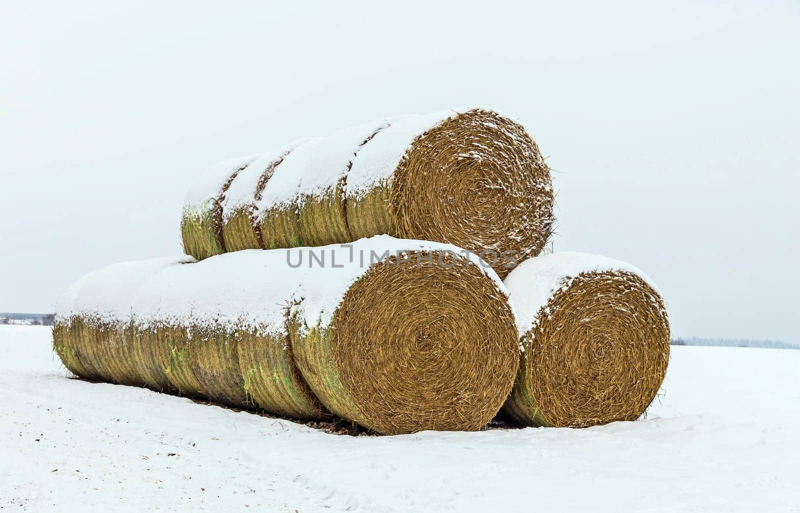 Straw bales stacked in winter
