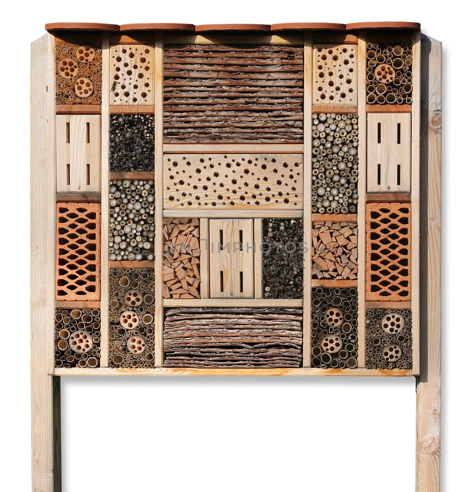 Insect house,insect refuge,isolated