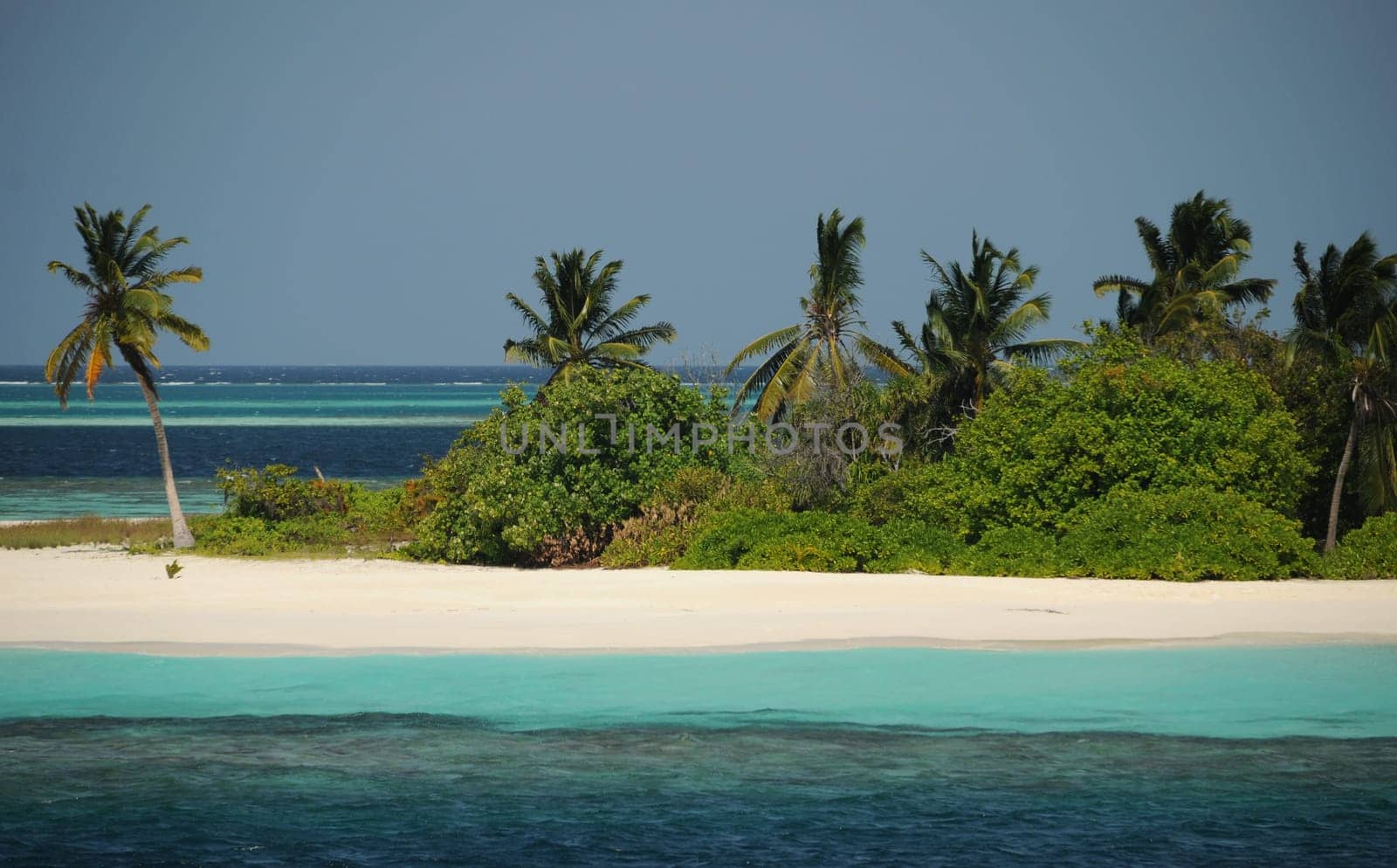 In the Maldives