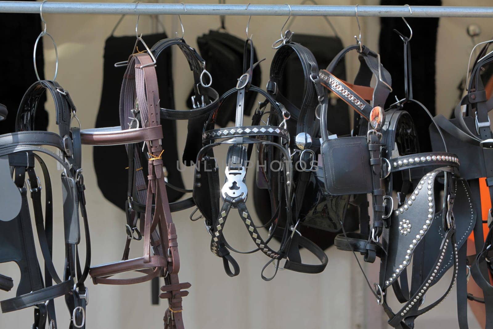 Bridle