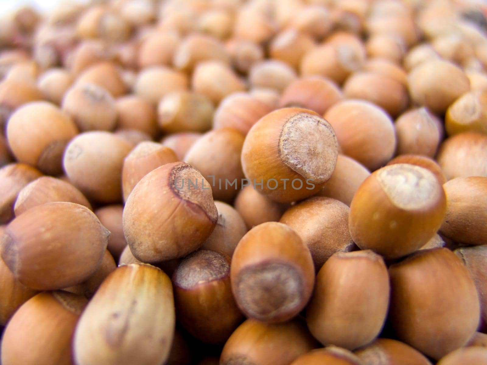 Agricultural background, a pile of beautiful hazelnuts