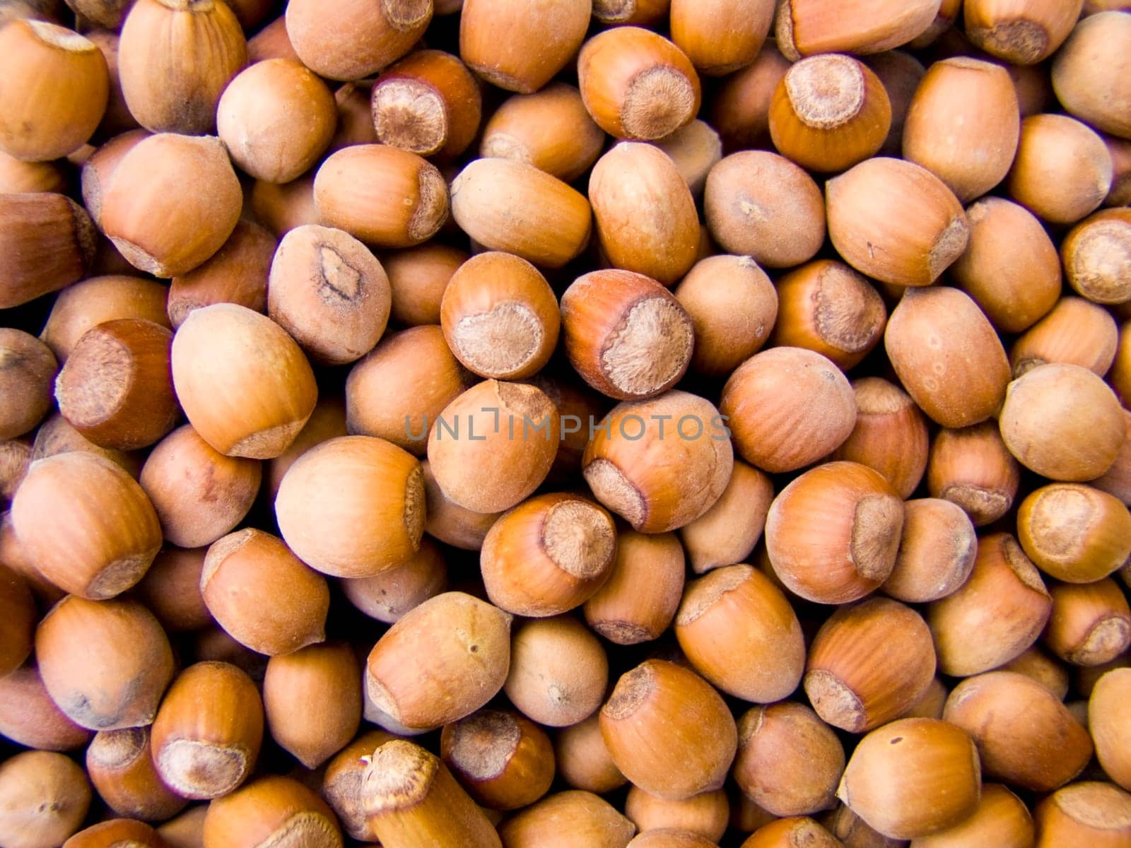 Agricultural background, a pile of beautifulhazelnuts