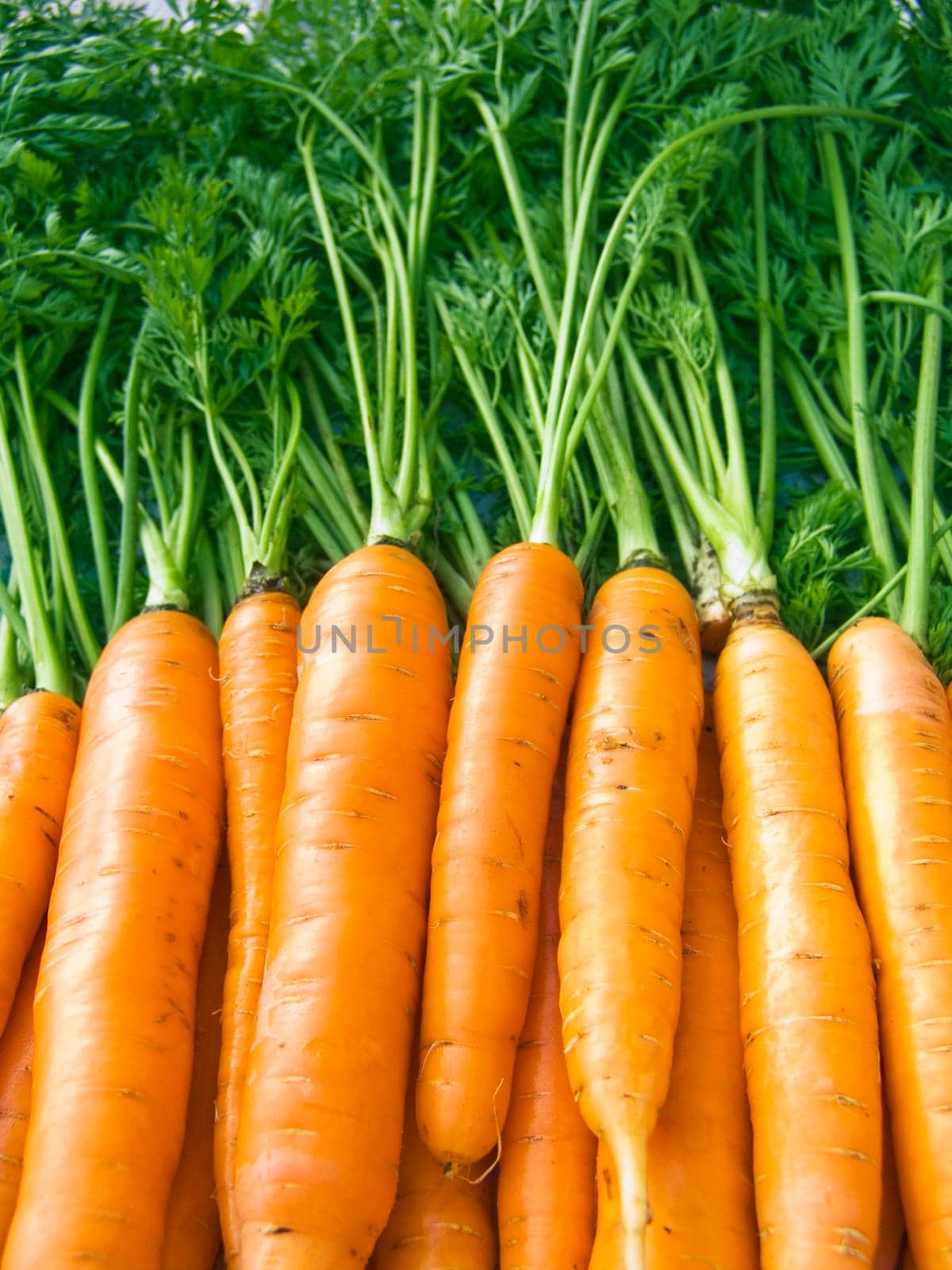 A pile of beautiful carrots on a counter