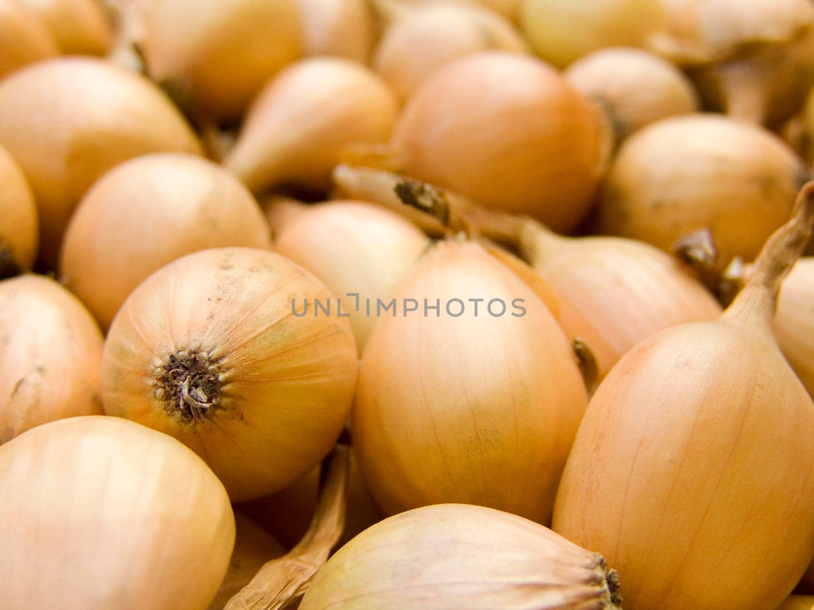 A pile of beautiful bulb onions on a counter