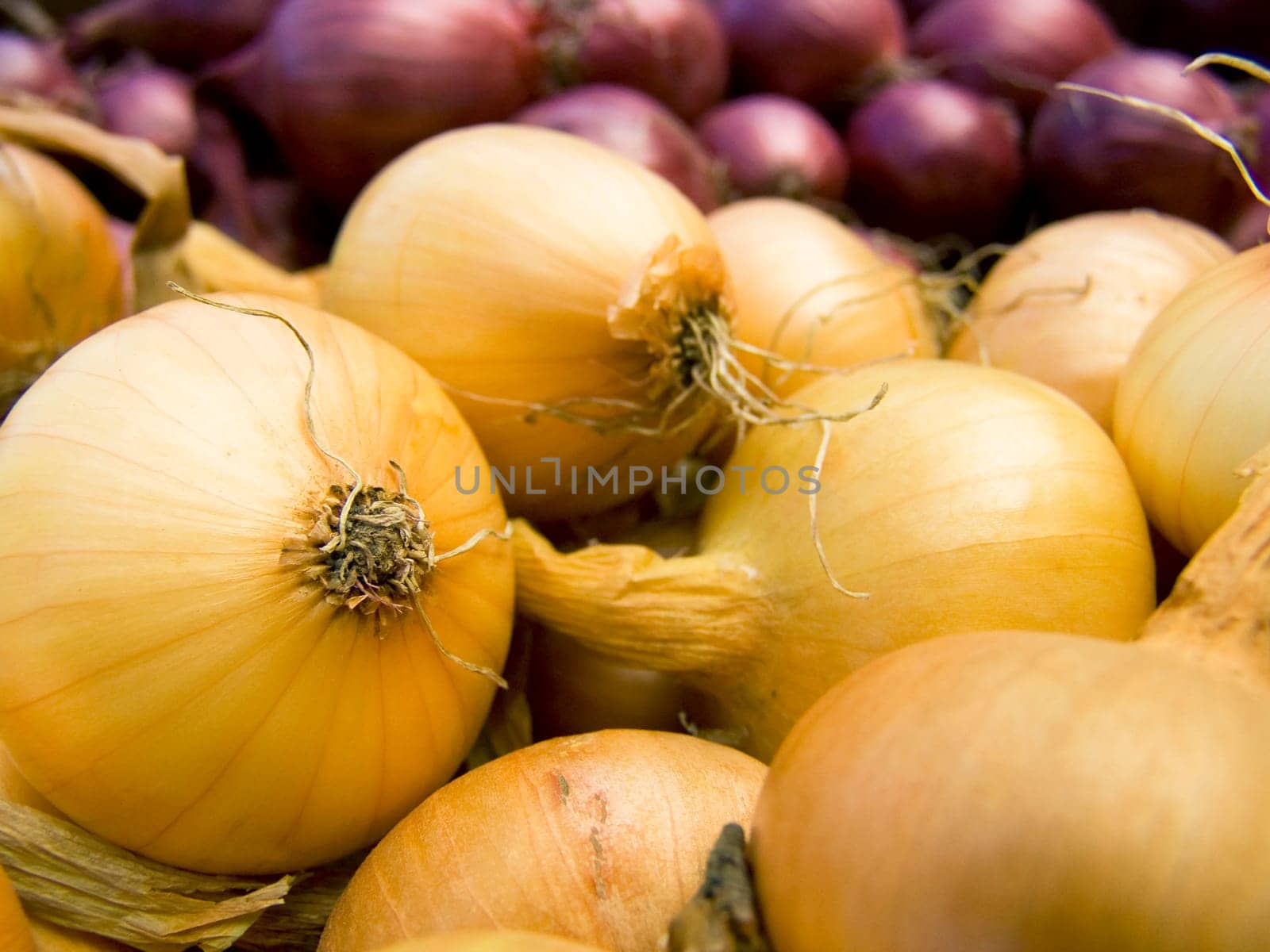 A pile of beautiful bulb onions on a counter