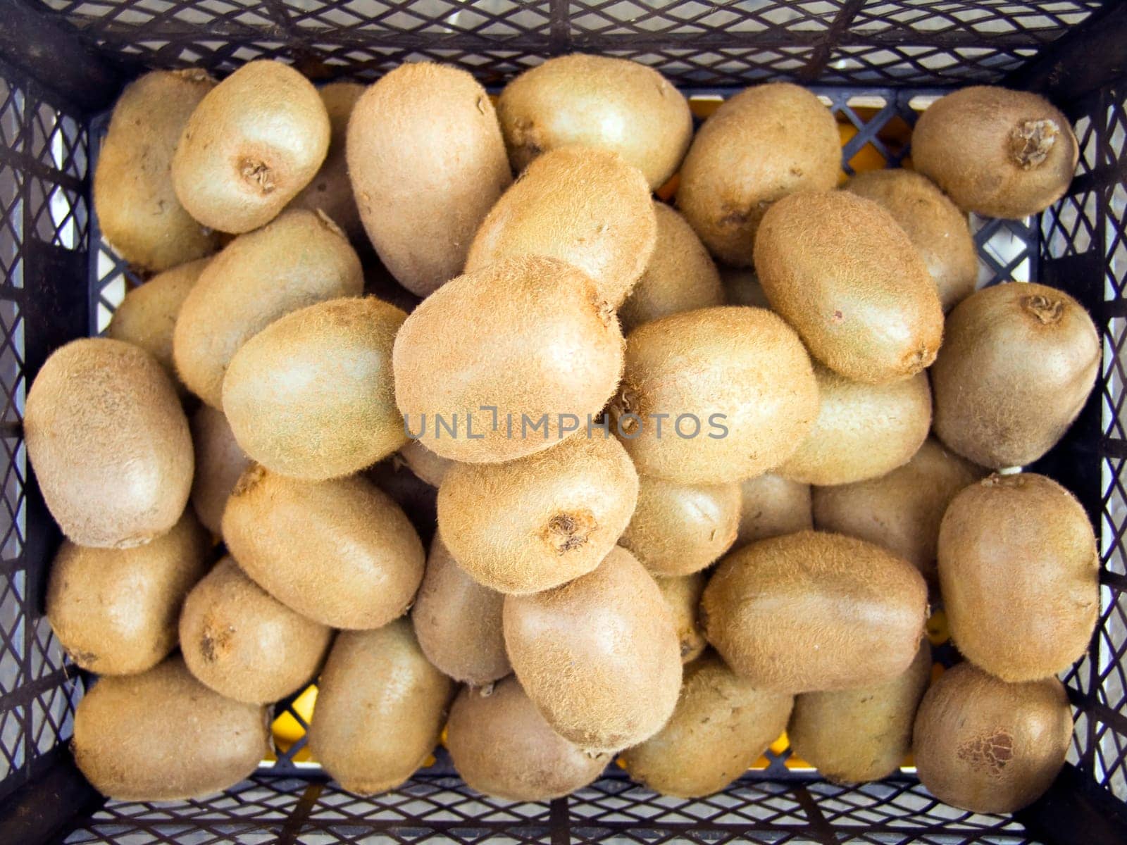The beautiful kiwis on a counter