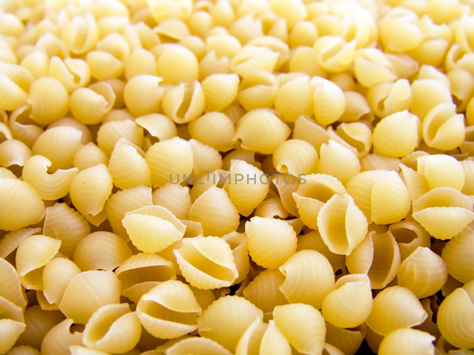 food background a pile of beautiful pasta cockleshel
