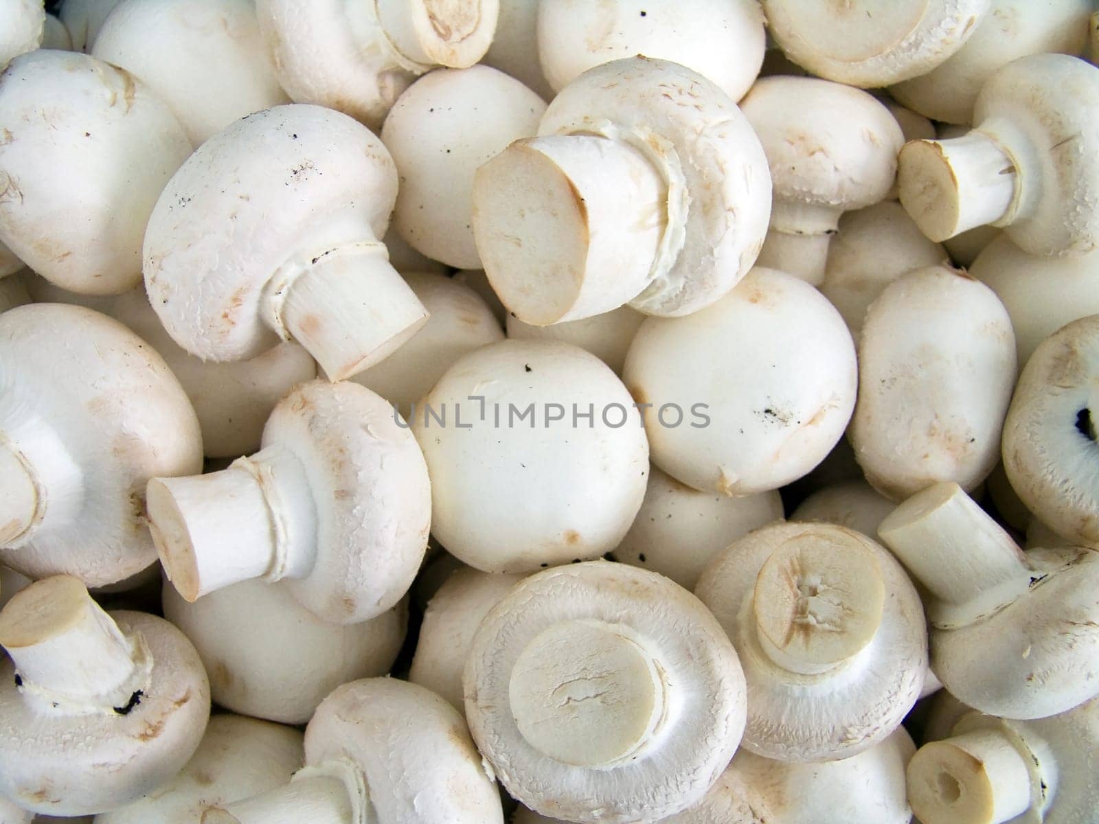 Agricultural background, a pile of beautiful mushroom