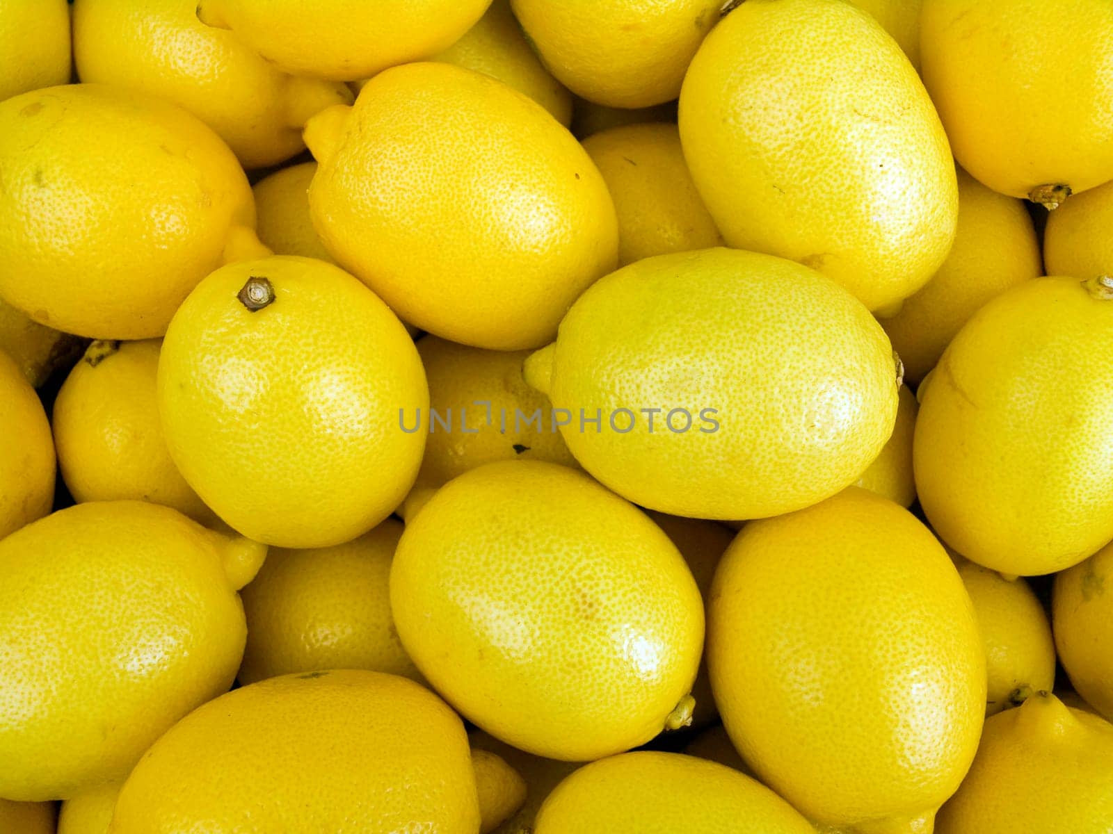 Agricultural background  a pile of beautiful lemons