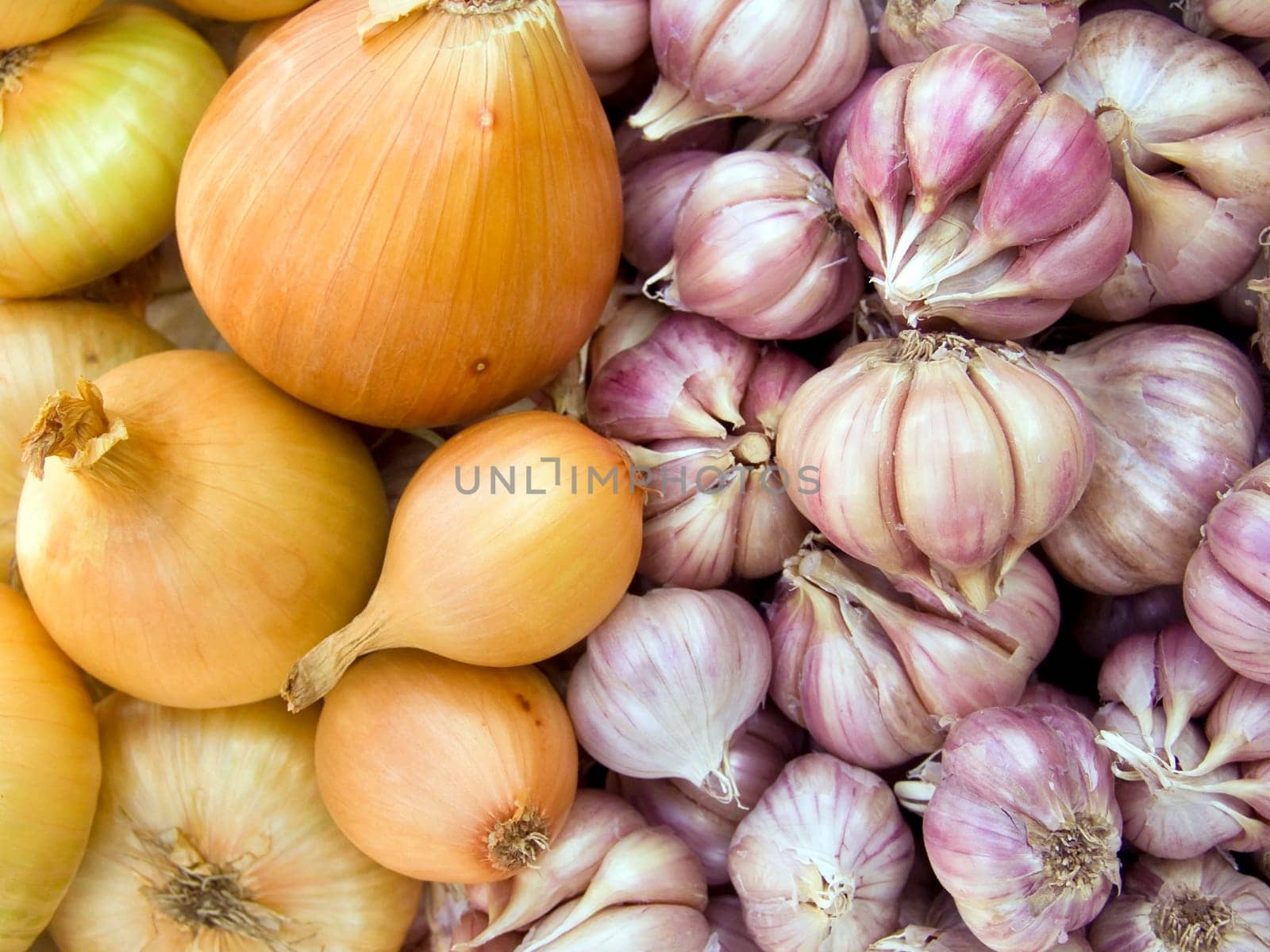 Agricultural background, a pile of beautiful bulb onions and garlic