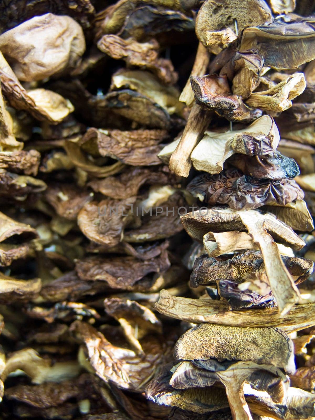 The beautiful dry honey agarics on a counter