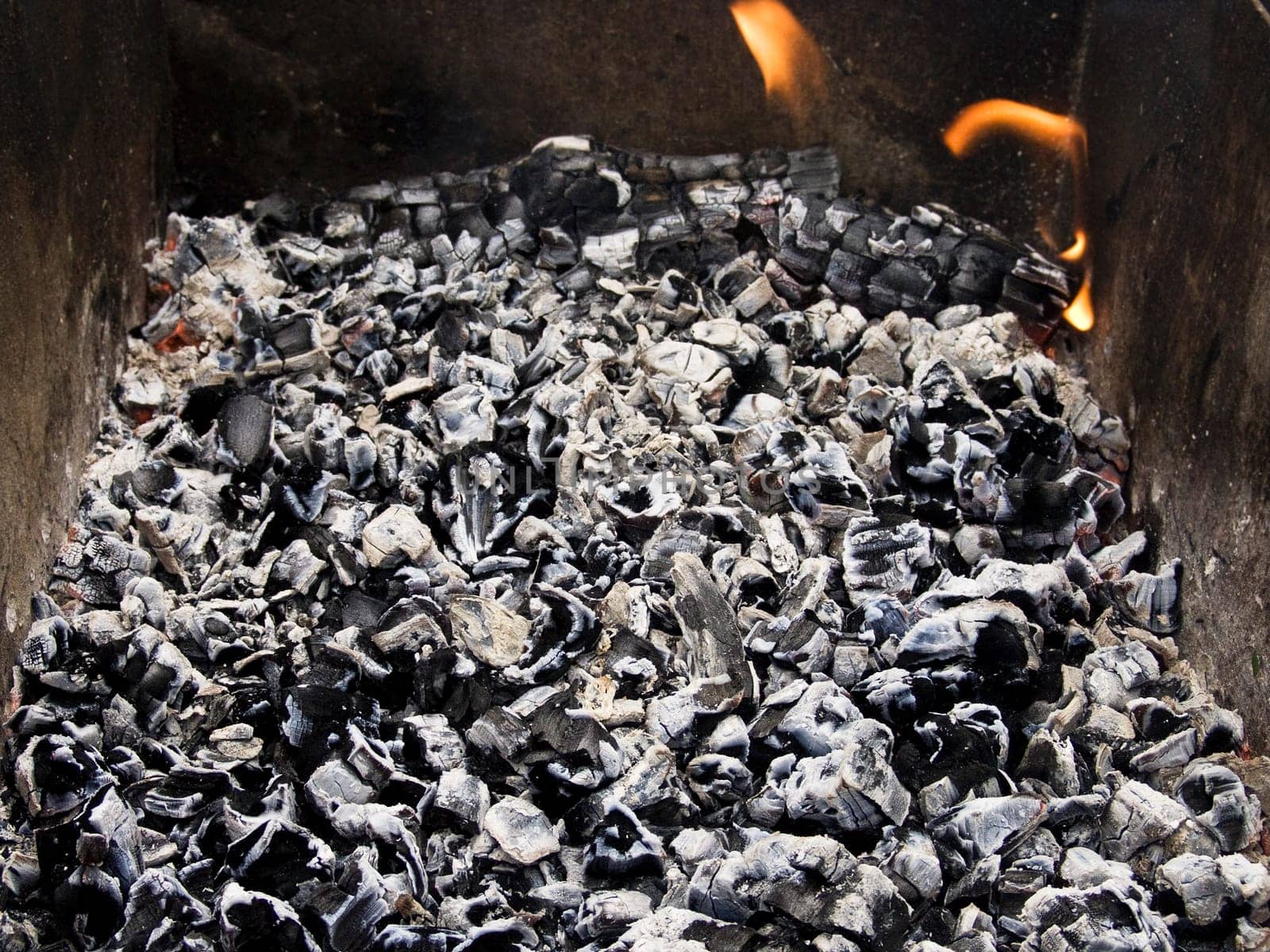 The firewood burning for cooking grill or barbecue