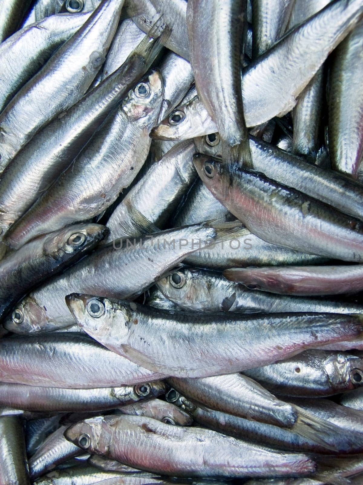 The beautiful small fishes on a counter