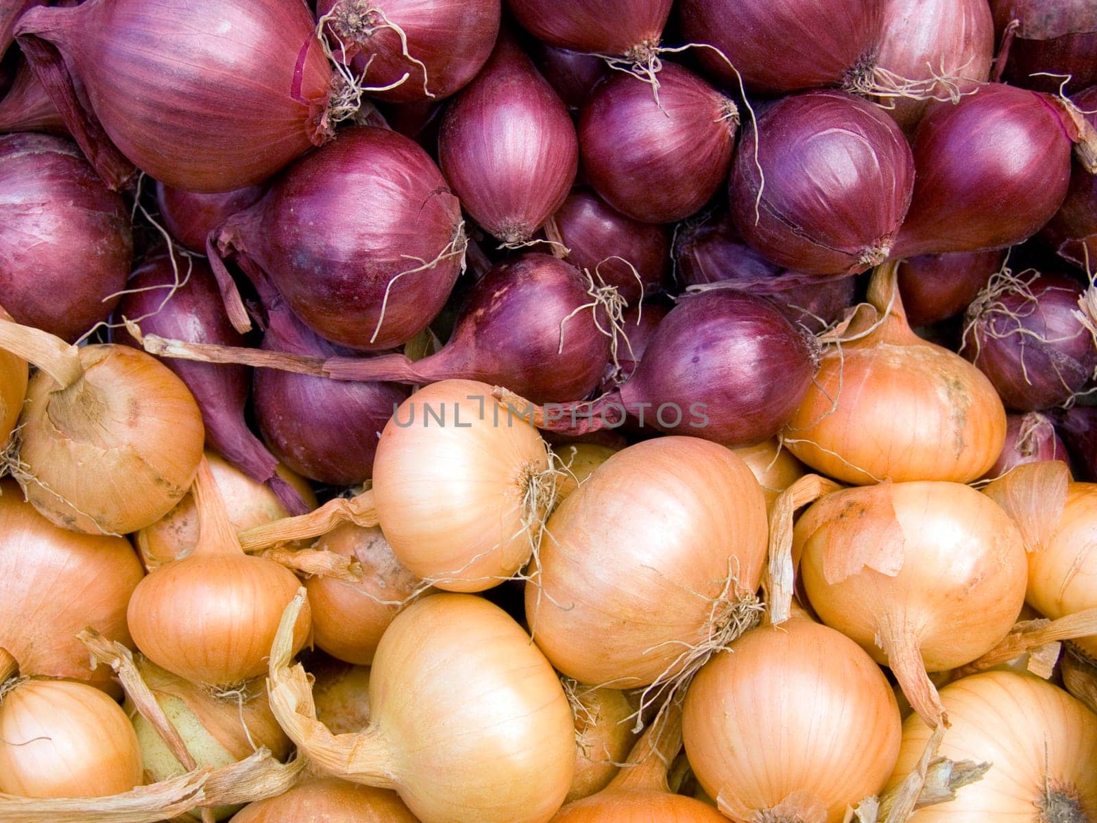 Agricultural background, a pile of beautiful bulb onions