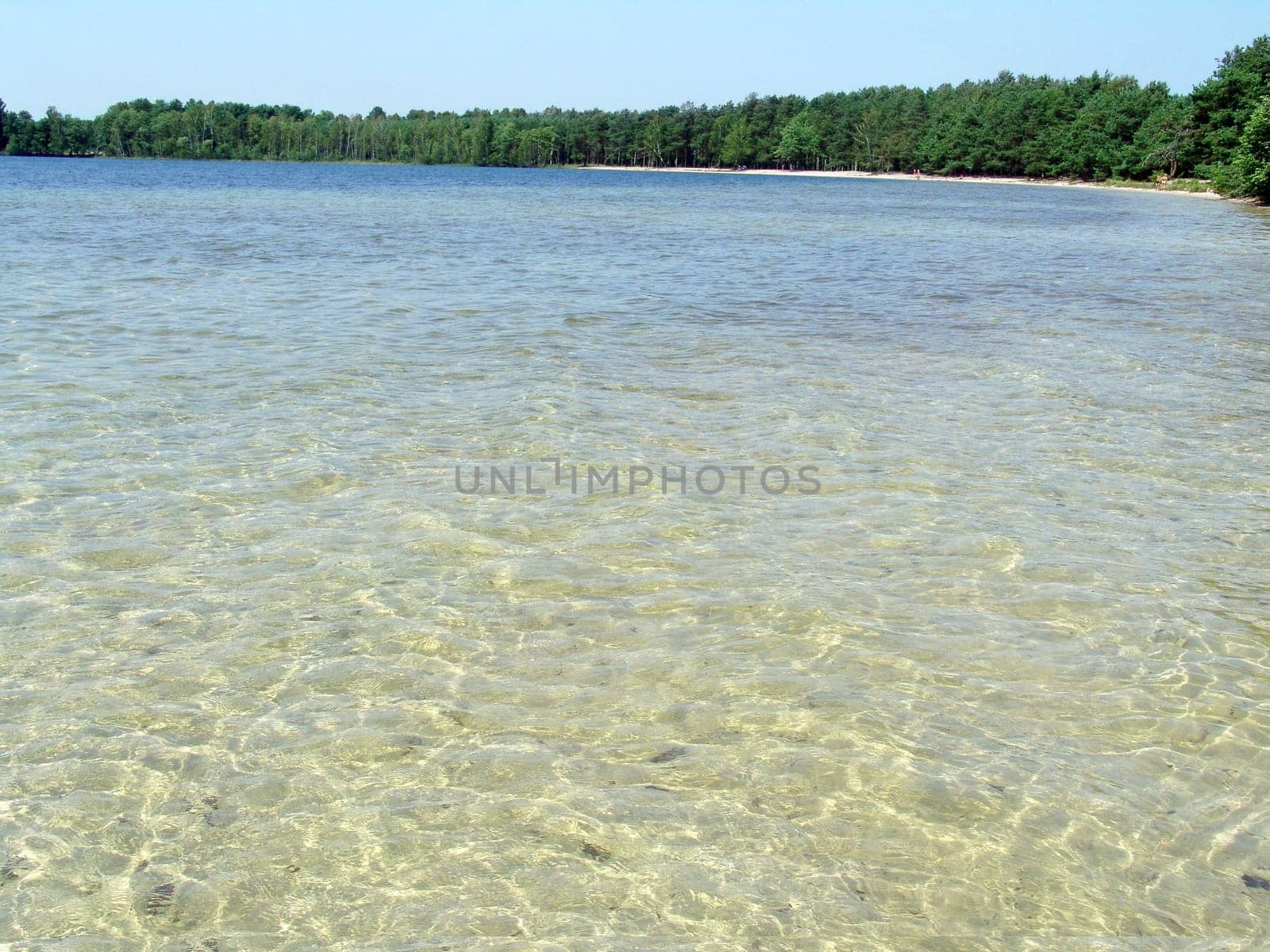 The beautiful wild nature landscape, crystal clear water in the lake in the woods