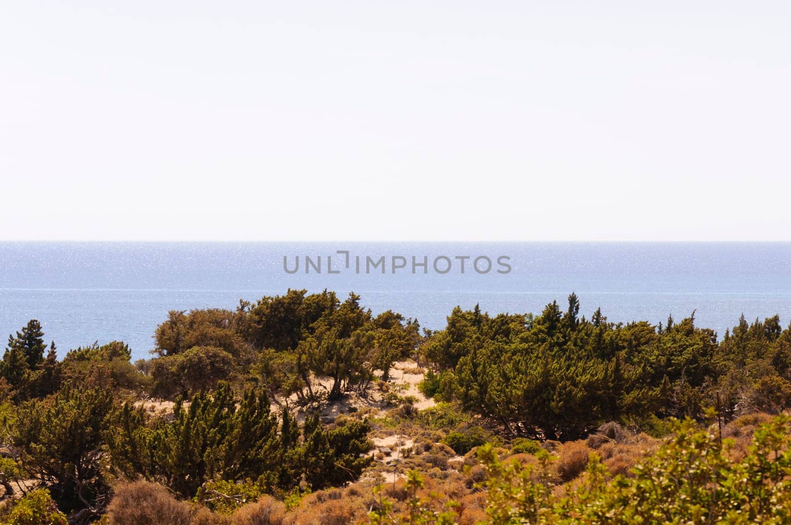 Wide view of Kedrodasos beach, island of Crete, Greece