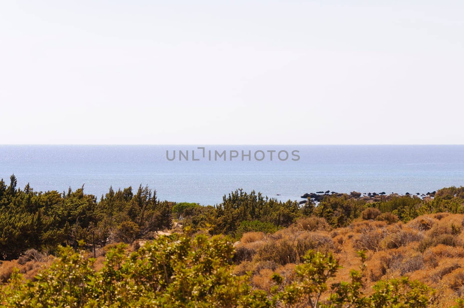 Wide view of Kedrodasos beach, island of Crete, Greece