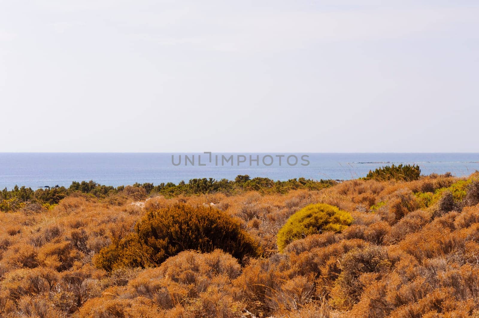 Wide view of Kedrodasos beach, island of Crete, Greece