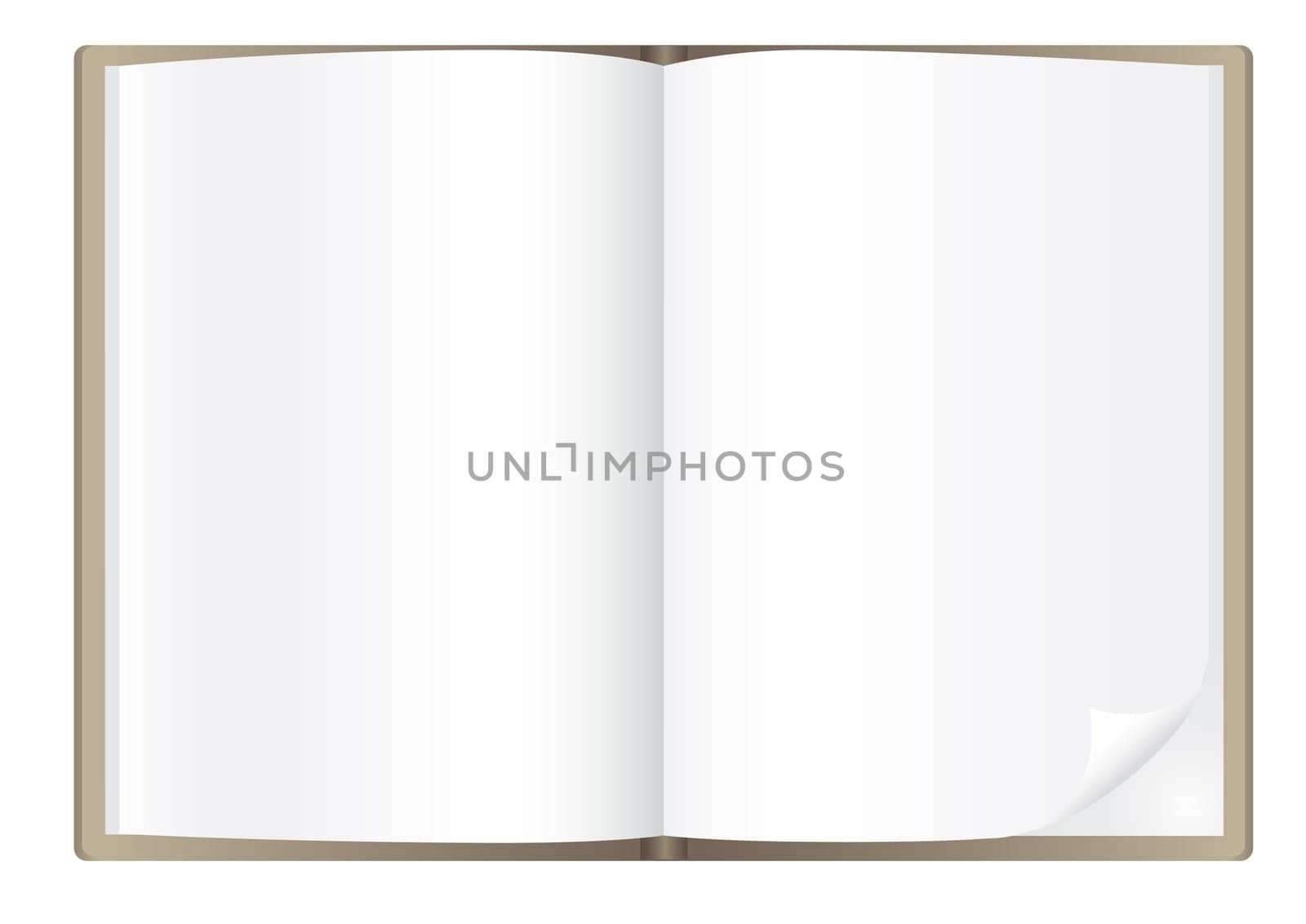 Simple book isolated on the white background