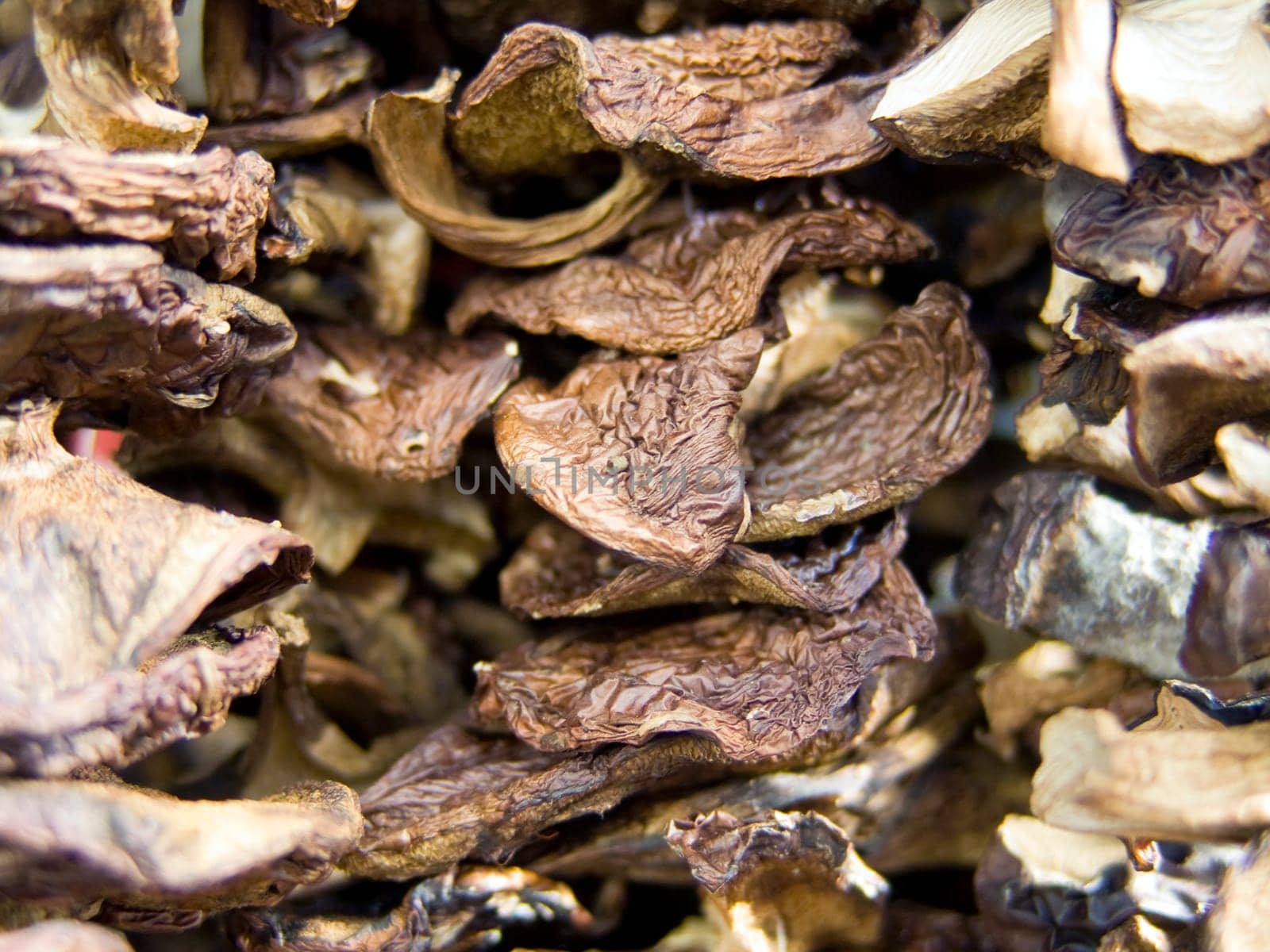 The beautiful dry mushrooms on a counter