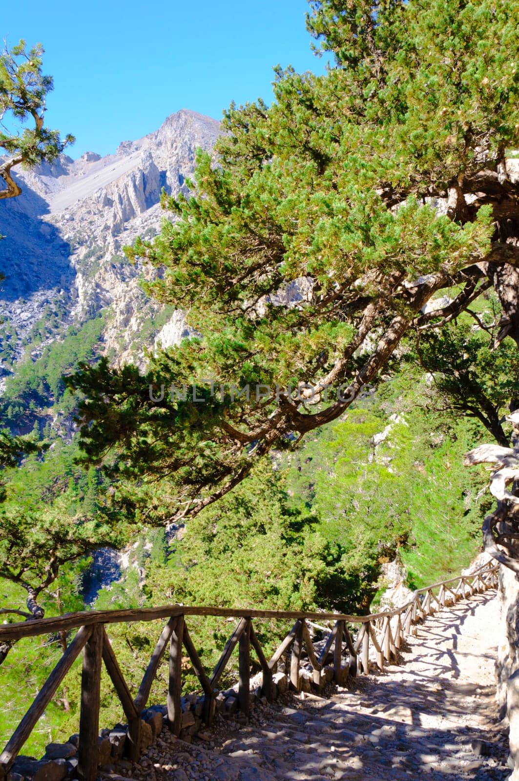 The Samariá Gorge is a National Park of Greece on the island of Crete - a major tourist attraction of the island - and a World's Biosphere Reserve.