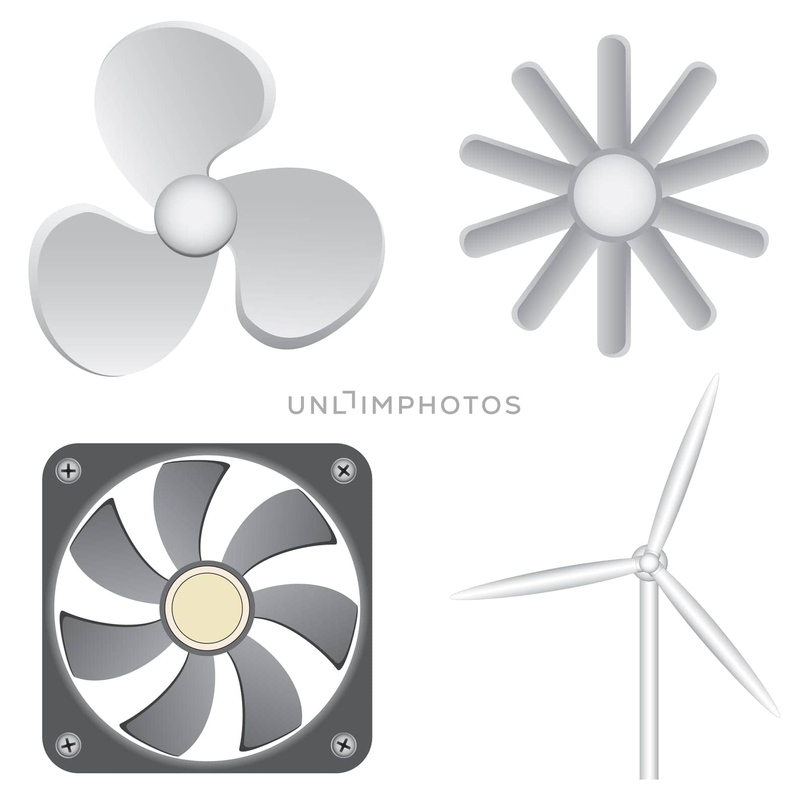 Different fans isolated on the white background