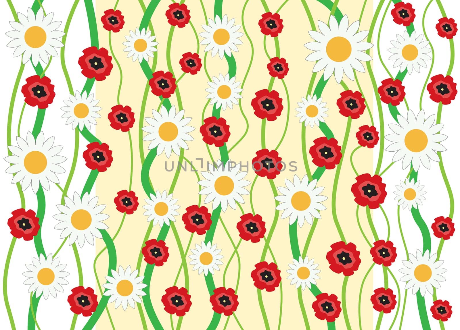 The flowers camomile and poppy background