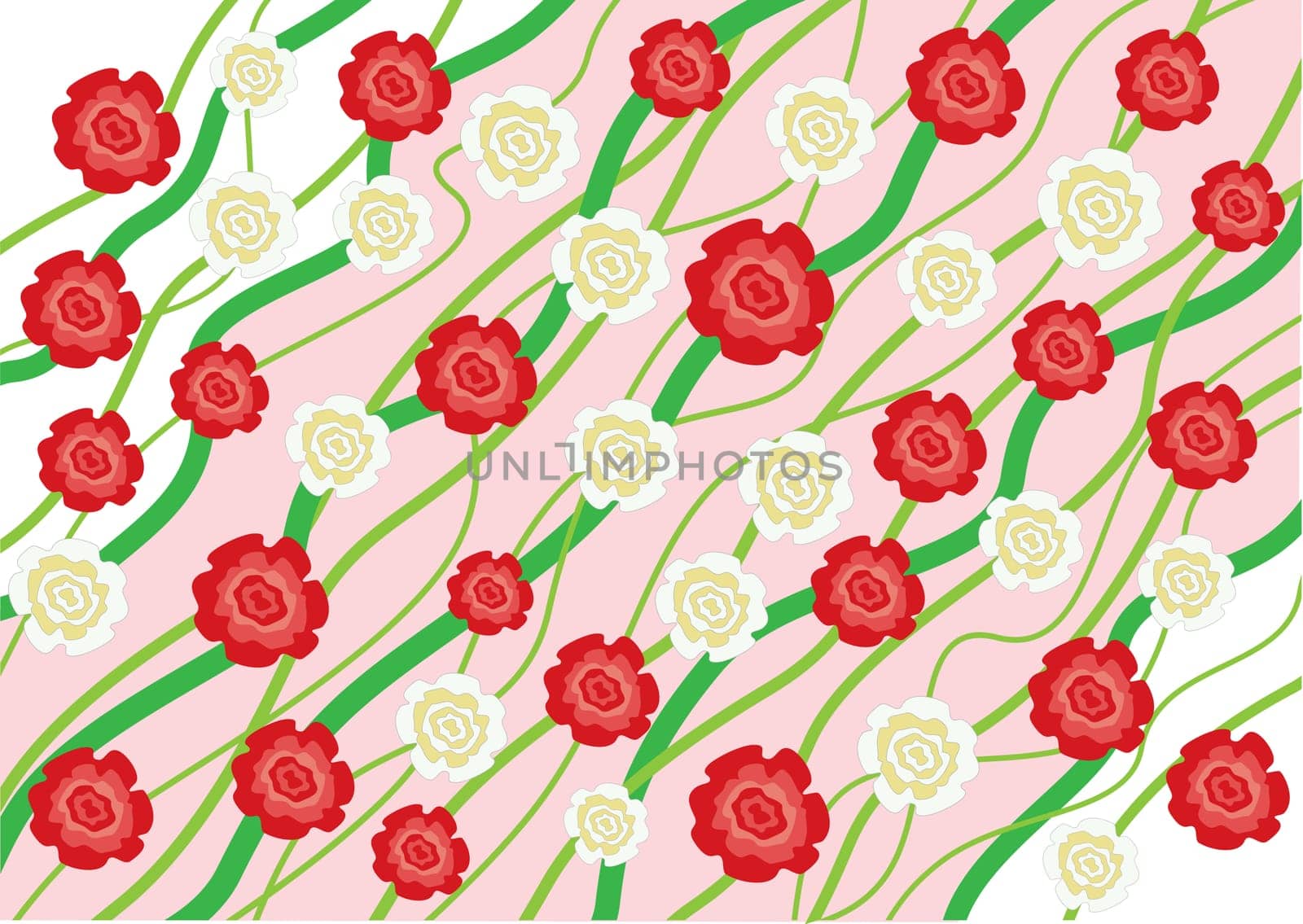 The flowers red and white roses background
